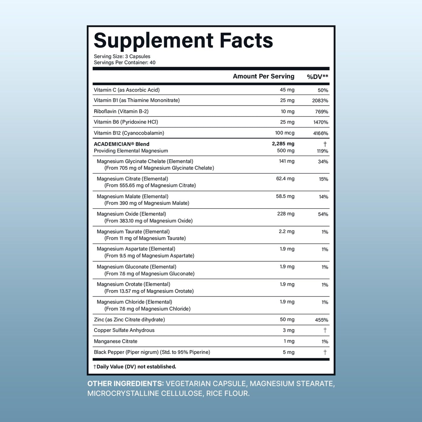 Academician Magnesium Citrate Capsules with Magnesium Glycinate, Malate, Taurate and Vitamin B Complex, 120 Capsules