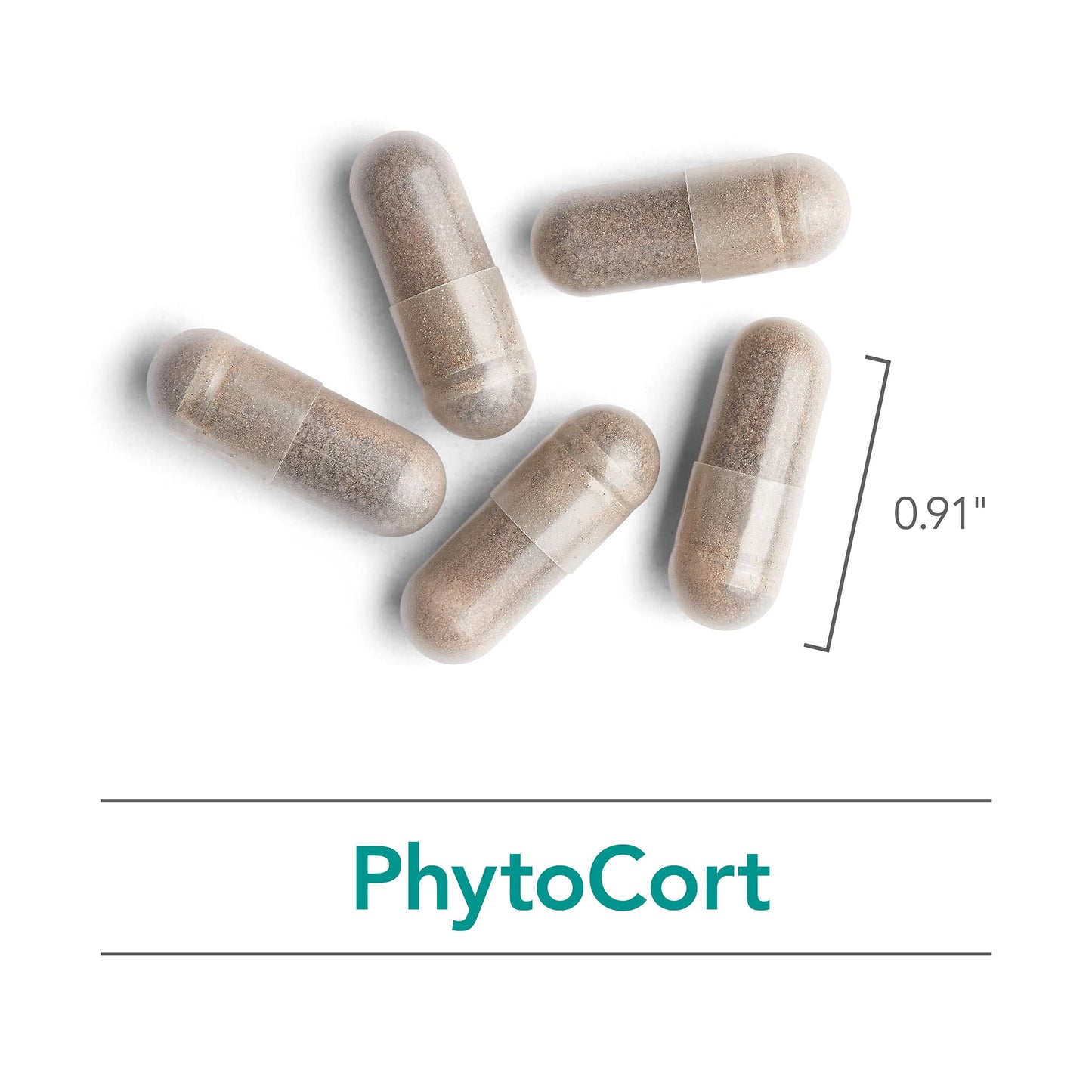 Nutricology PhytoCort Supplement Capsule 120 Count