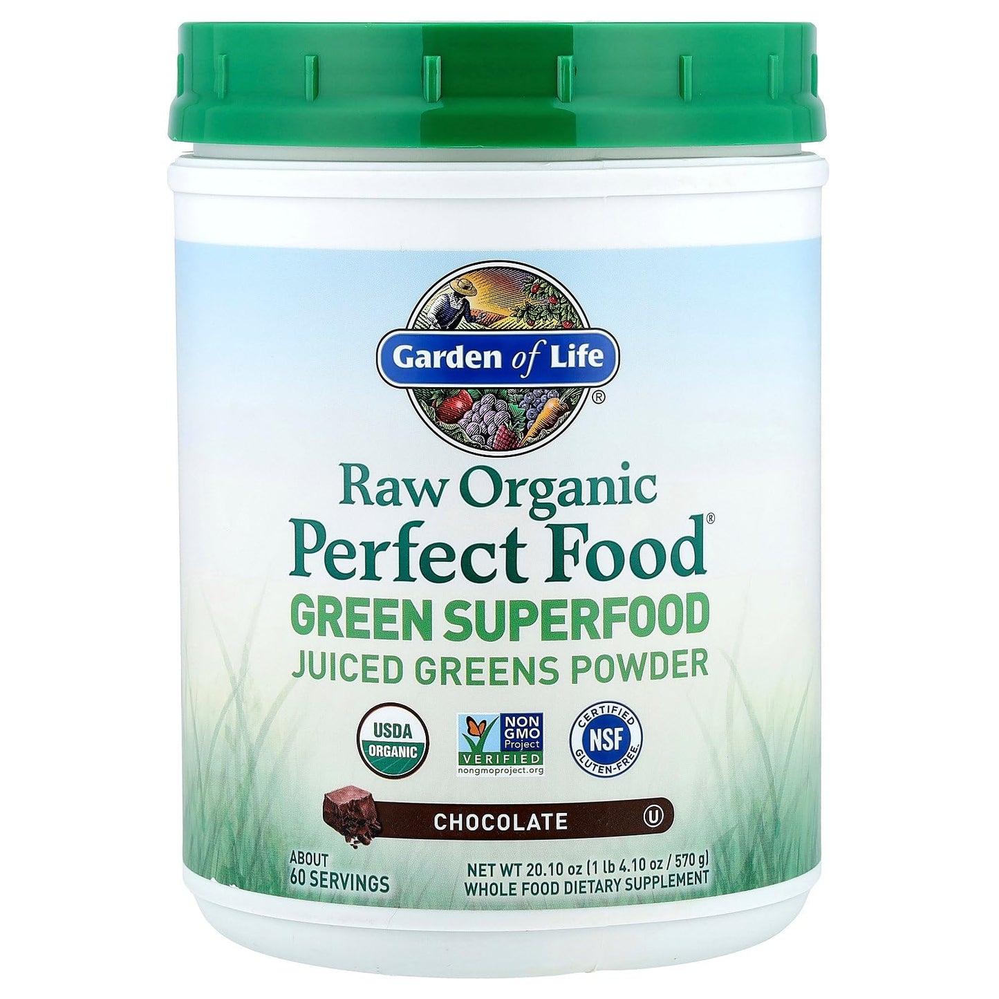 Garden of Life Raw Organic Perfect Food Green Superfood Juiced Greens Powder - Chocolate, 60 Servings