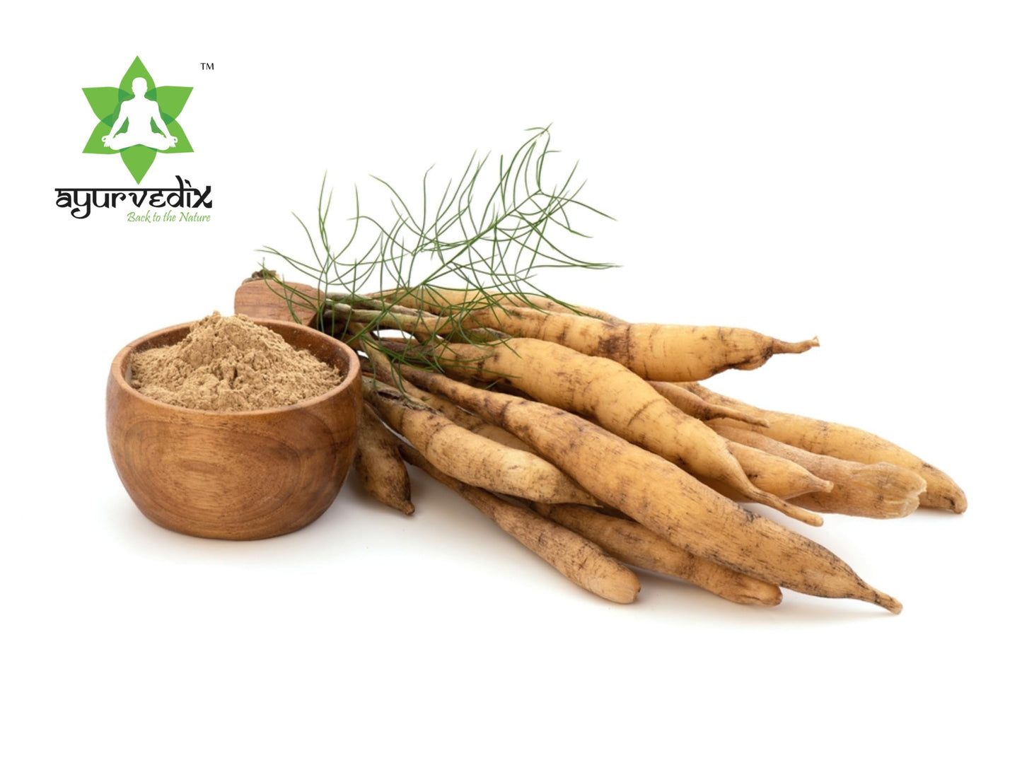 ayurvedix Shatavari Powder 15.87 Ounce