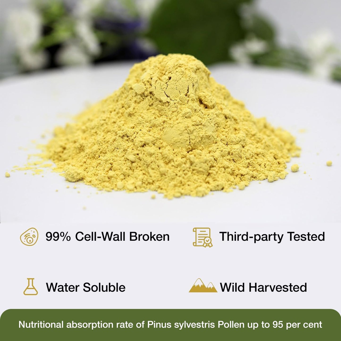 Lifebooil Pine Pollen Powder, 6 Ounce
