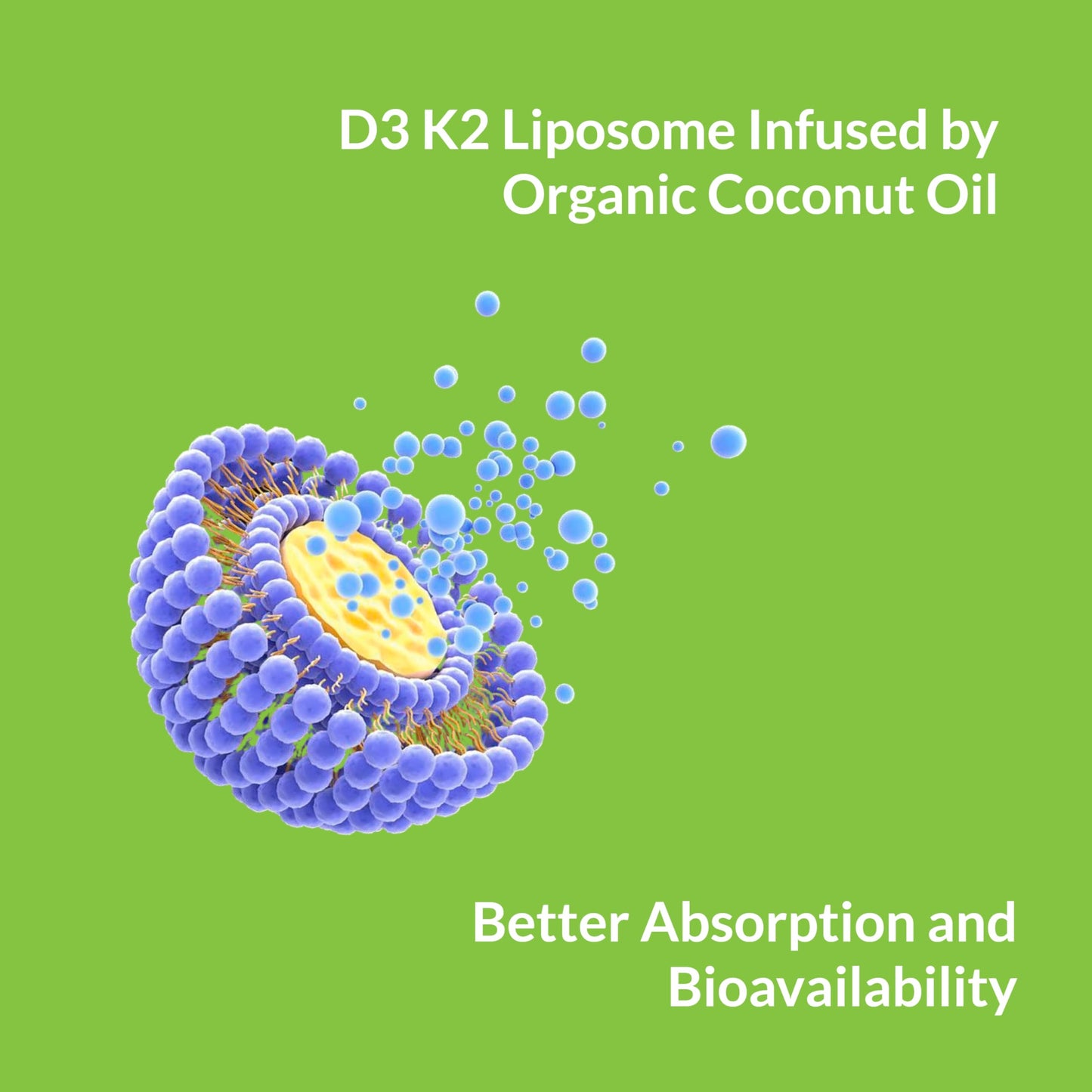 UpNourish Liposomal Vitamin D3 50000 IU with 1000 mcg Vitamin K, High Dose Vitamin D3 K2 with K1, K2 MK-4 and MK-7 Softgel 120
