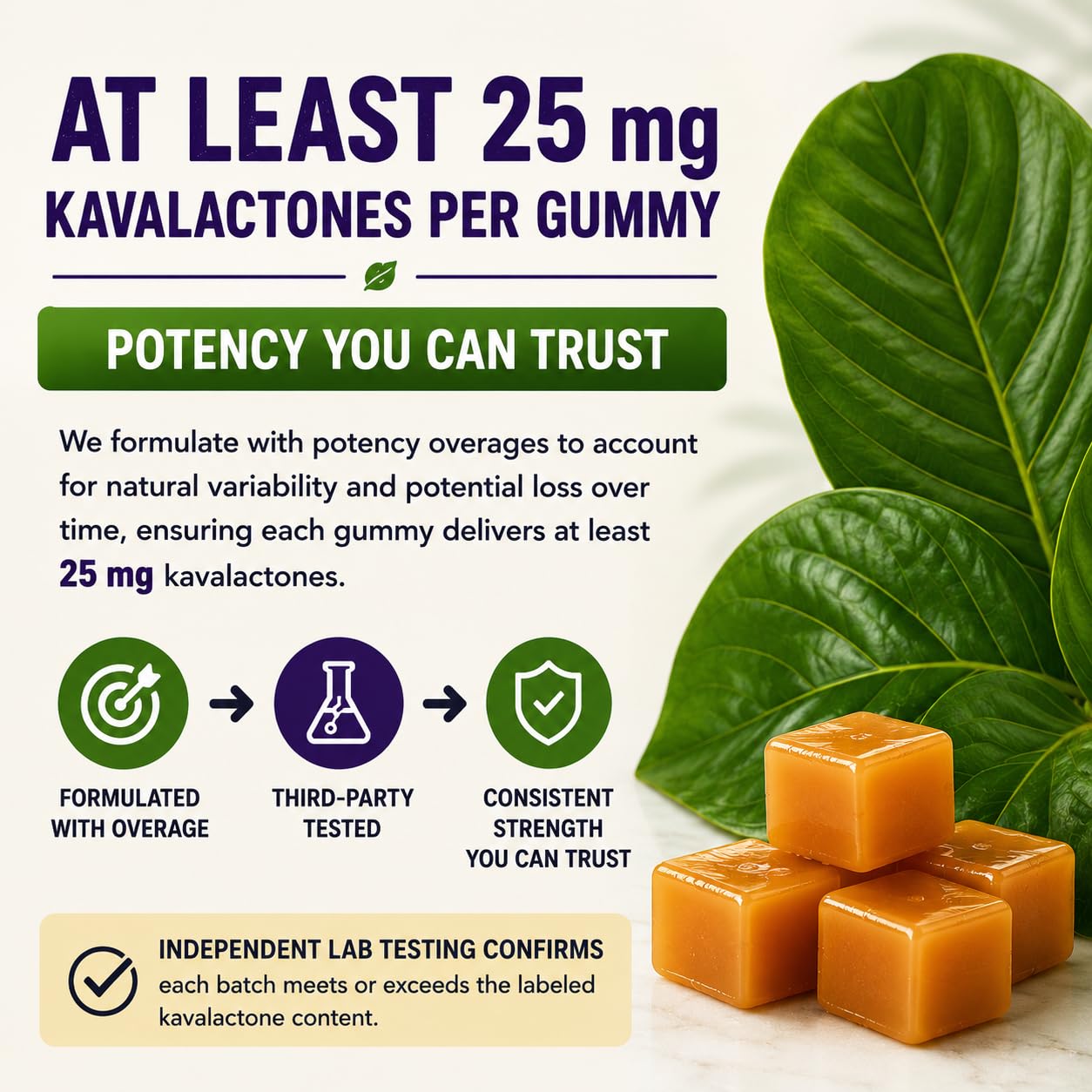 PRIMO KAVA Kava Gummies 375mg, 30 Gummies