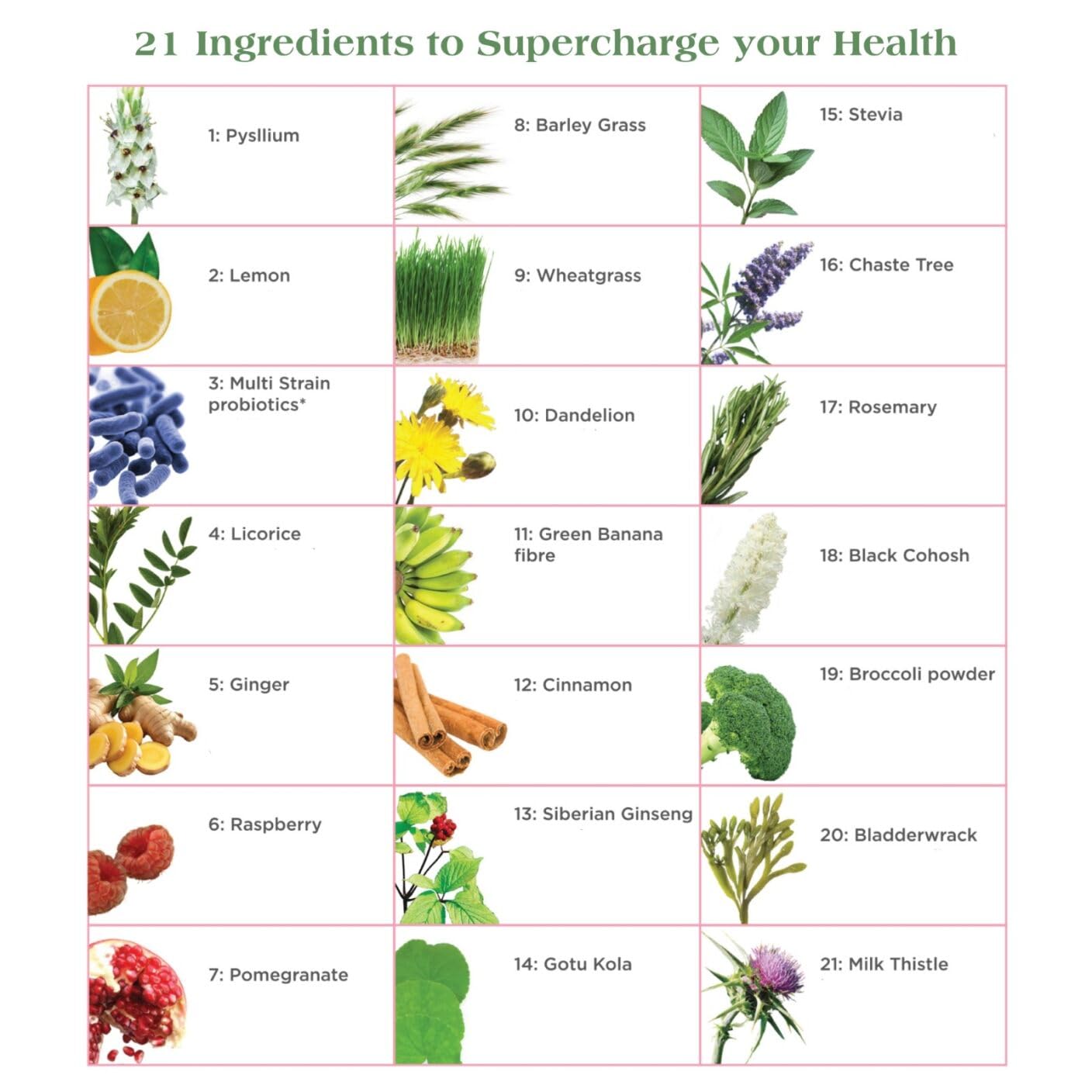 Fem21 Nutritional Supplement Powder, Herbal Blend with 21 Superfoods for Women’s Wellness and Vitality, with Prebiotics, Probiotics and Antioxidants, 31.75 oz