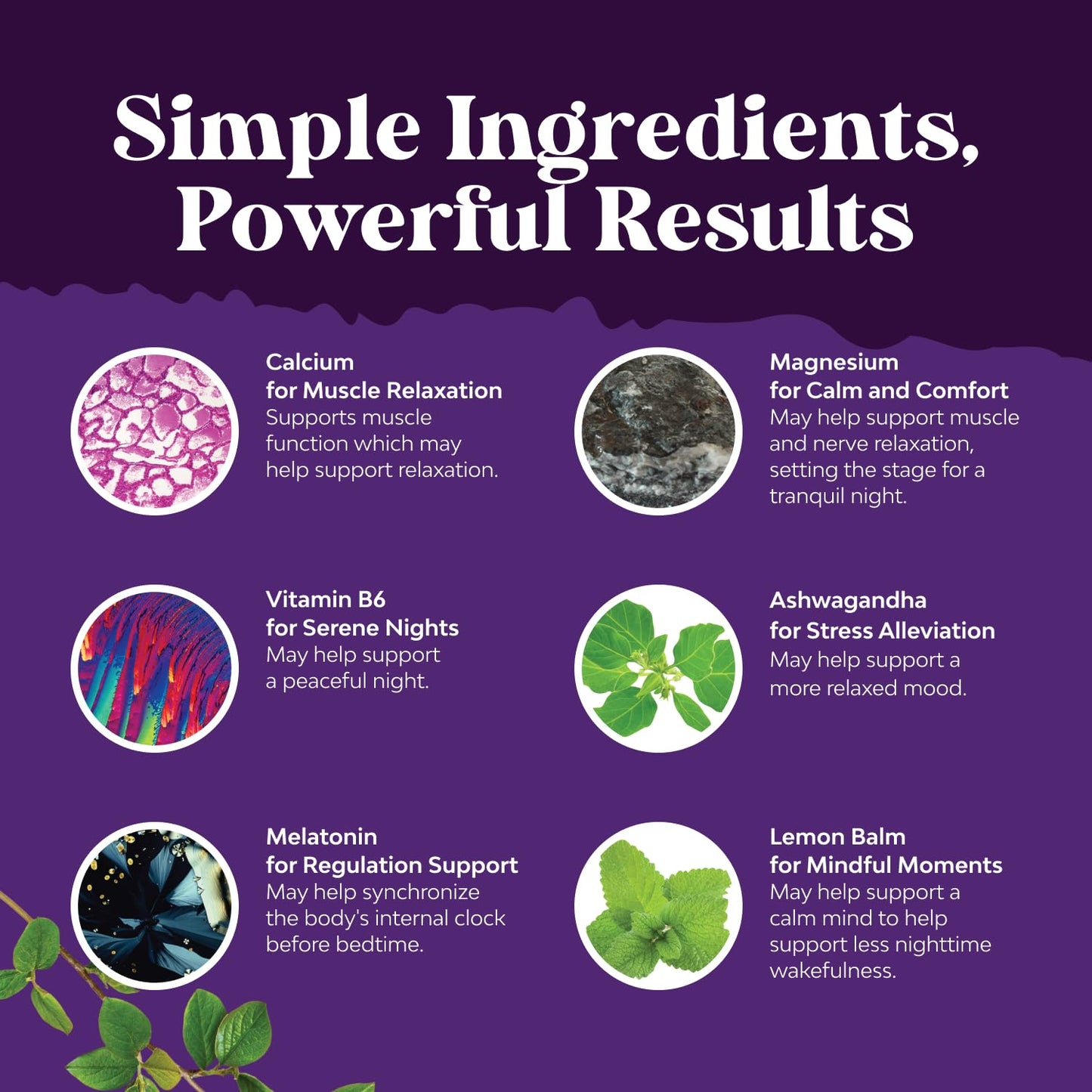 Natures Craft Natural Refreshing Sleep Formula Capsules, 60 Count