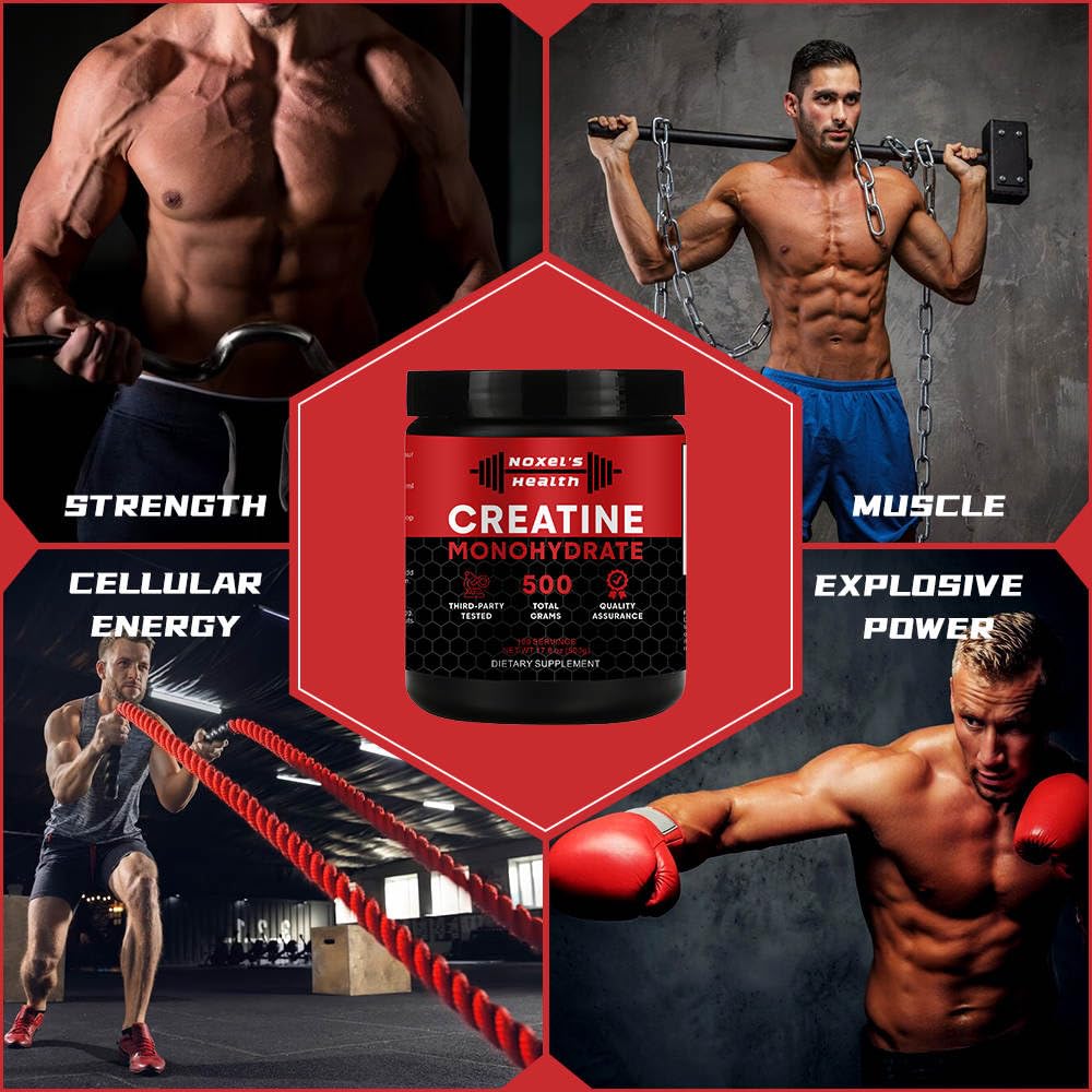 Noxel's Health Creatine Monohydrate Powder, 17.6 oz