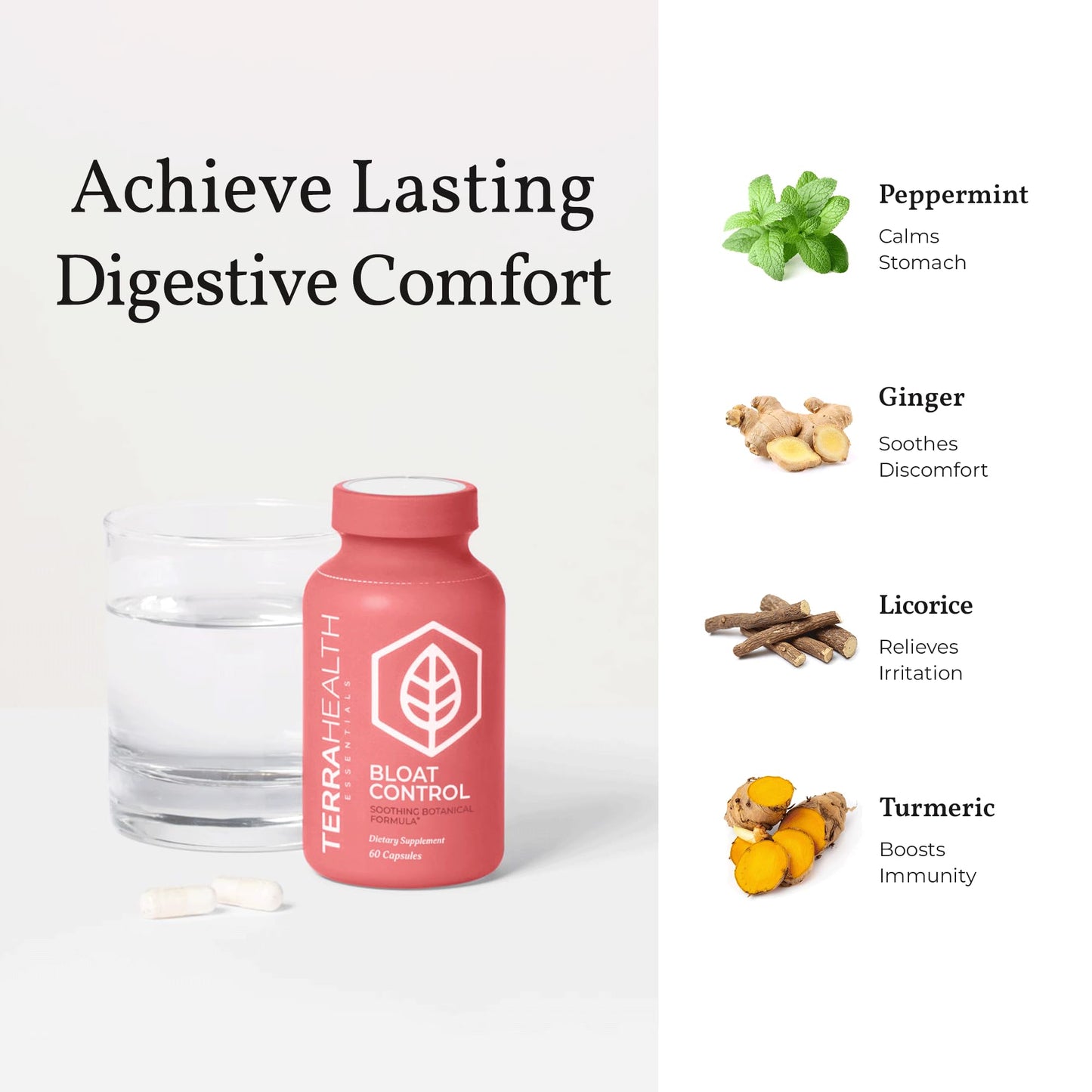 Terra Health Essentials Bloat Control Capsule 60 Count