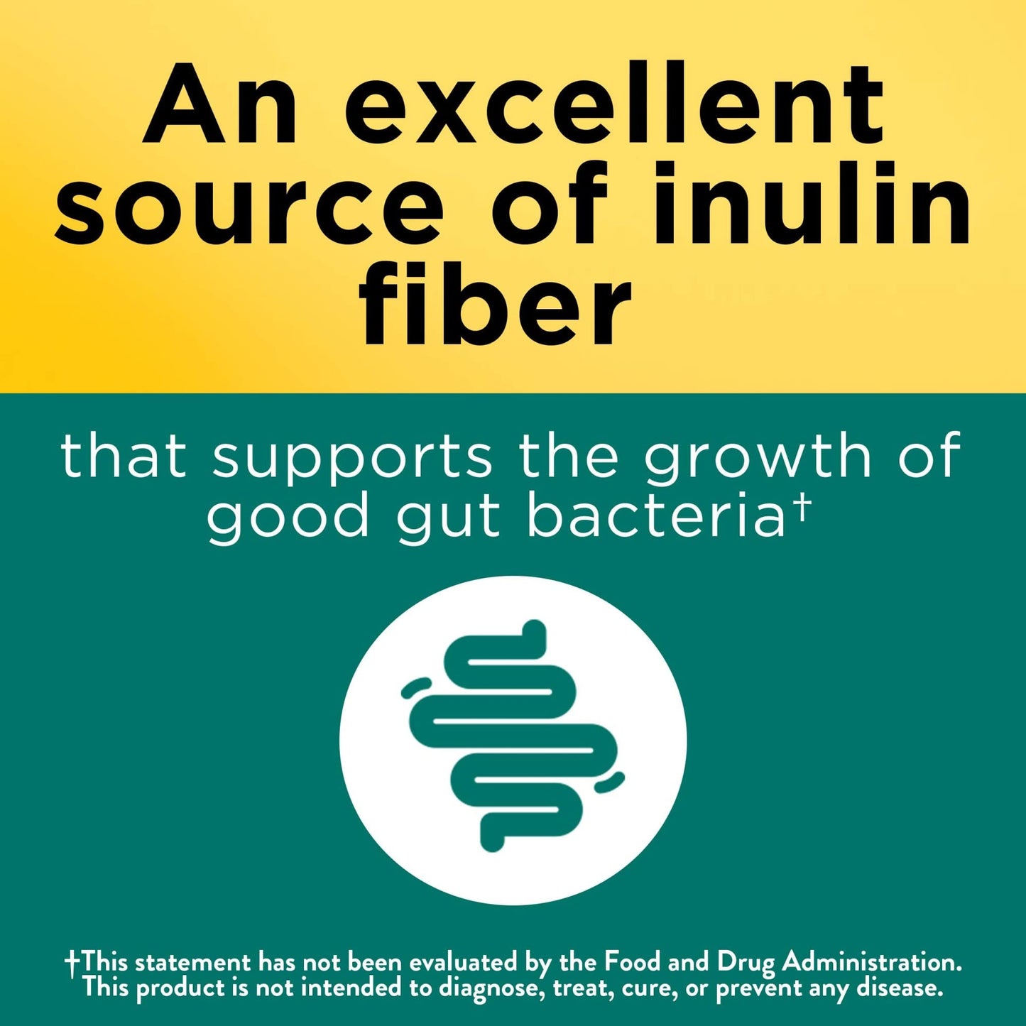Nature Made Fiber 6 g Dietary Supplement for Digestive Health Support 90 Gummies