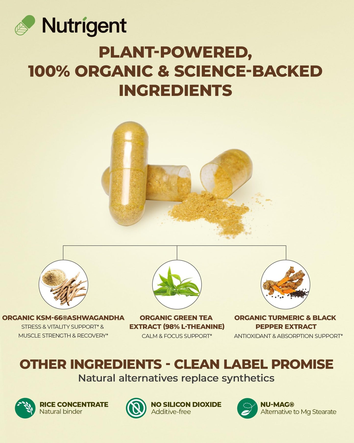 Nutrigent USDA Organic KSM-66 Ashwagandha 600mg with Organic L-Theanine, Turmeric & Black Pepper Capsules, 60 Count
