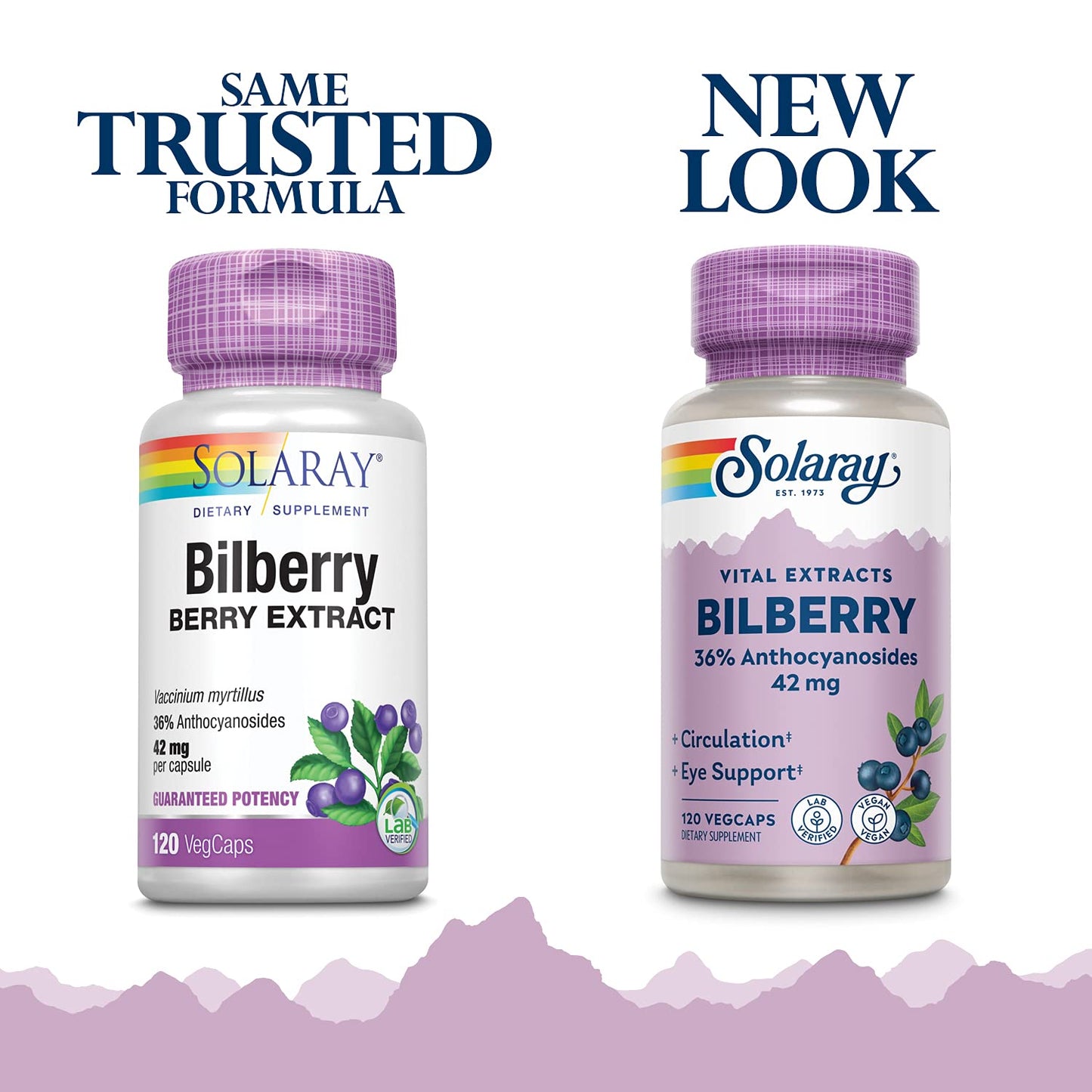 Solaray Bilberry Berry Extract 42 mg Eye Health & Circulation Support with 36% Anthocyanosides, Vegan, 120 VegCaps