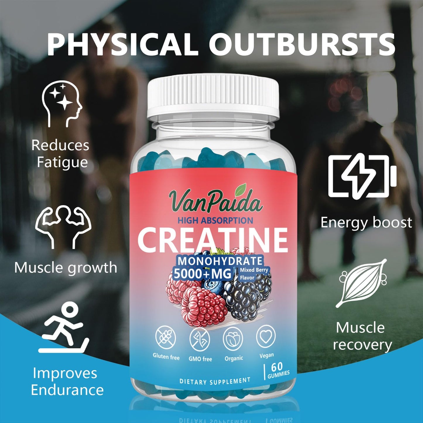 Van Paida Creatine Monohydrate Gummies Chewable, 60 Count