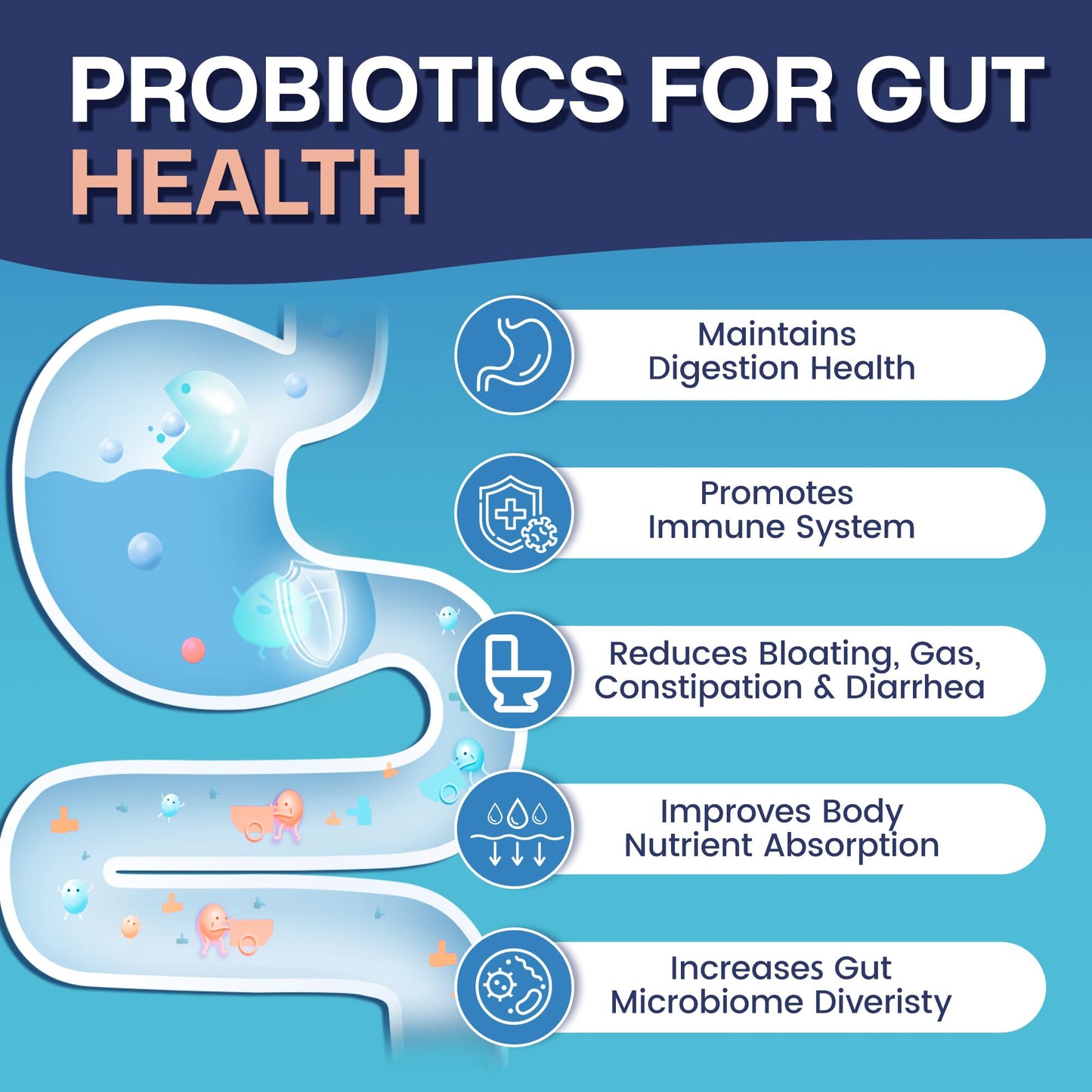 Nature Target Probiotics for Women & Men 60 Billion CFU with Prebiotics SBO Probiotics for Digestive Health, Gas & Bloating, 90 Capsules
