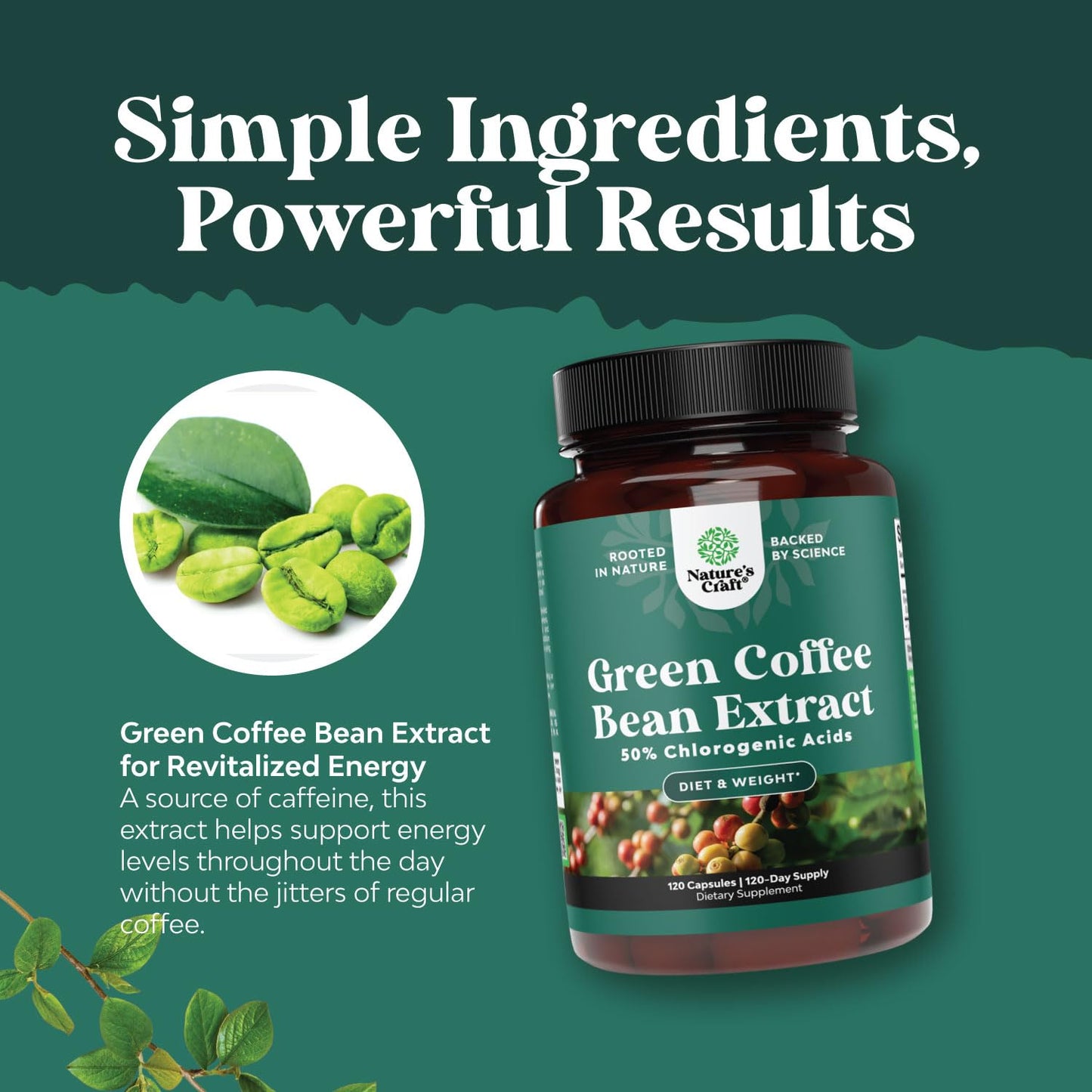 Natures Craft Green Coffee Bean Extract Capsule, 120 Count
