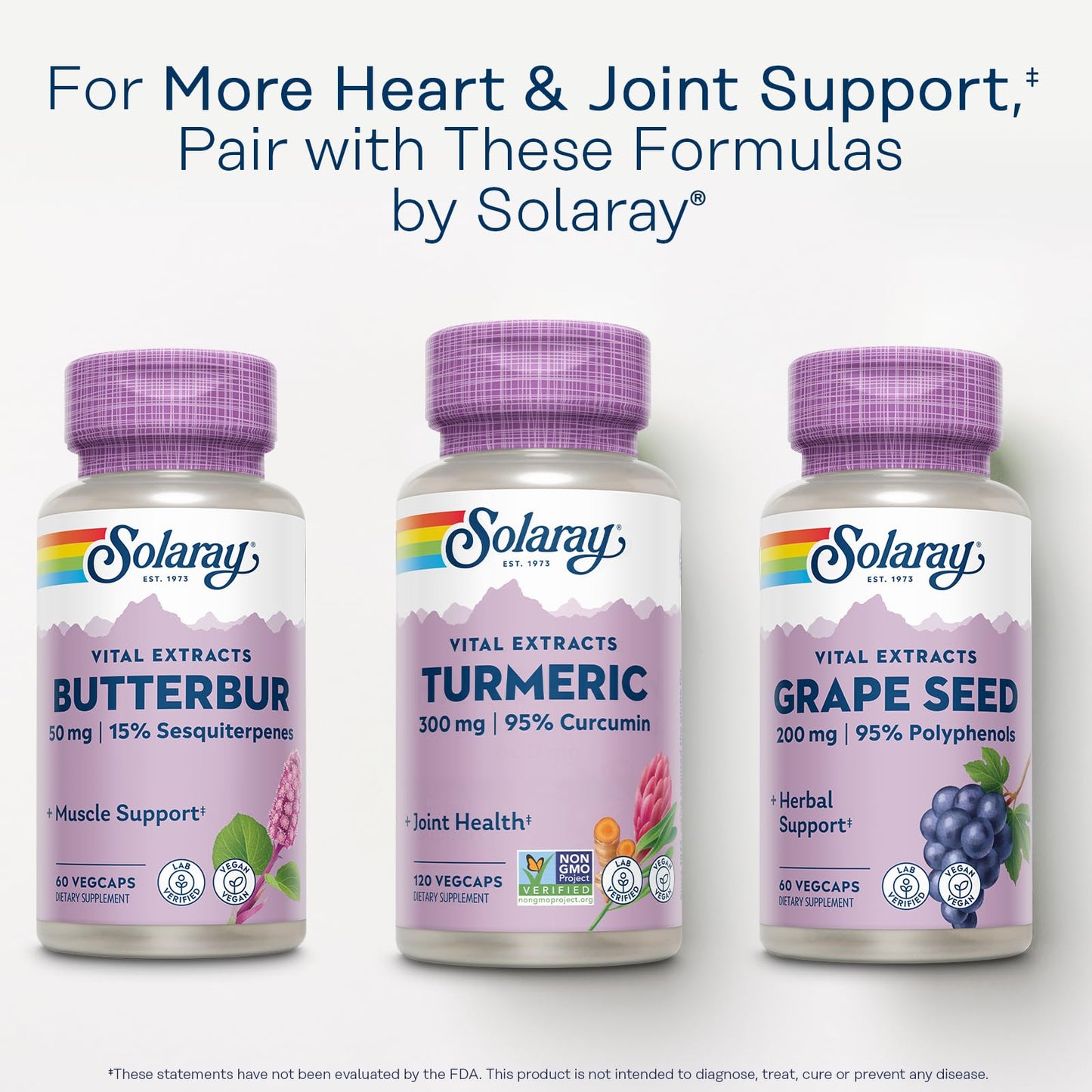 Solaray Turmeric Supplement Capsule 300 mg Turmeric Root Extract with 95% Curcumin, 120 Capsules