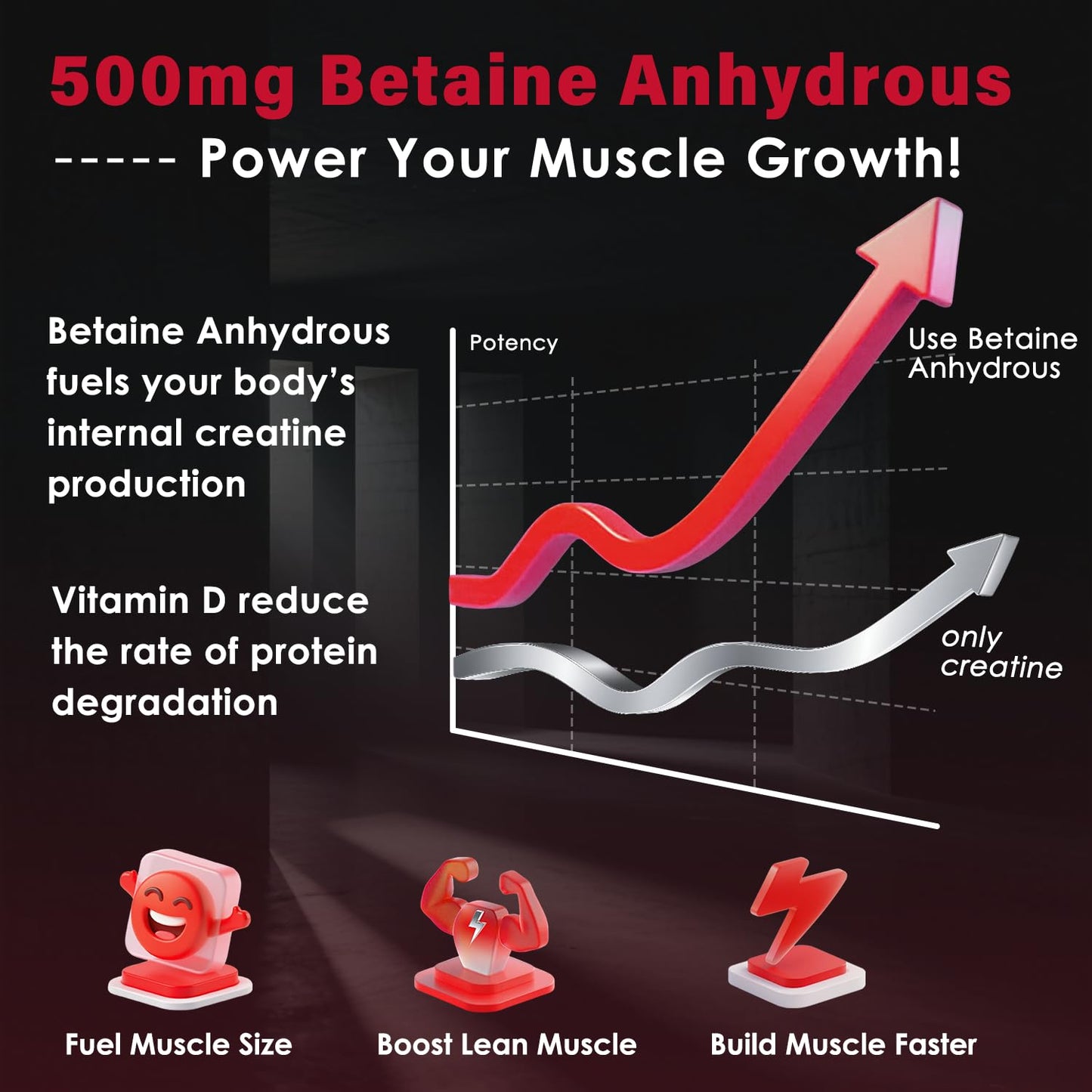 ZEBORA Micronized Creatine Monohydrate Powder, 17.64 oz