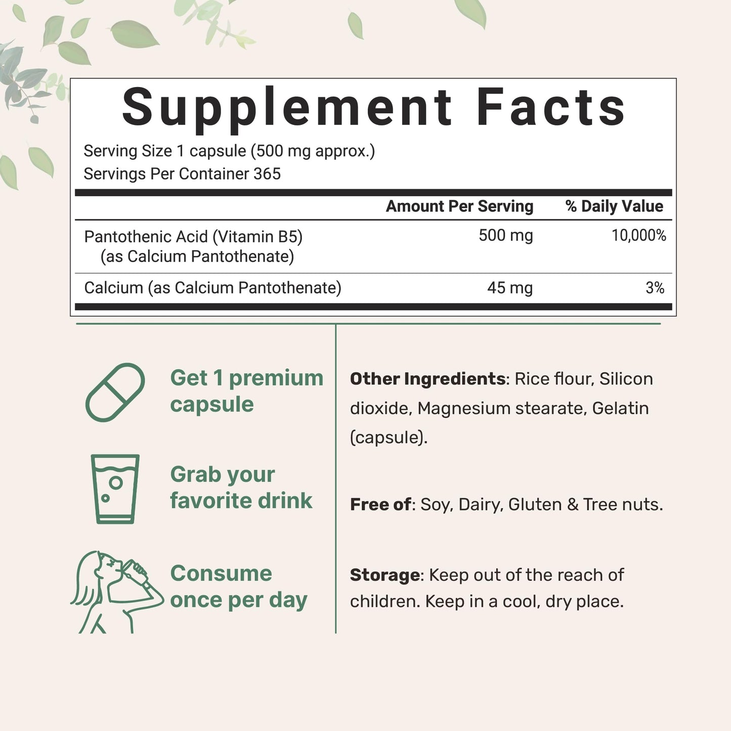 Micro Ingredients Pantothenic Acid Vitamin B5 Supplement Capsules, 365 Count