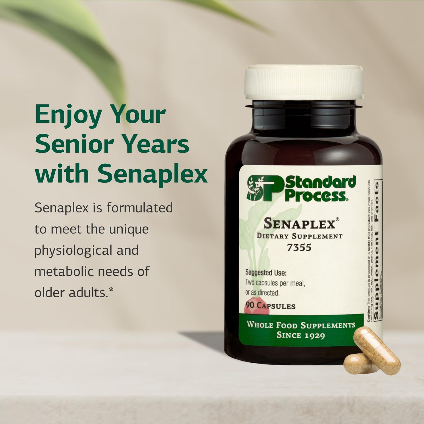 Standard Process Inc. Senaplex Nervous System Support with Niacin, Vitamin B12 & B6 - Supports Brain Health & Cellular Health - Antioxidant Activity - Non-Dairy Capsules, 90 Count