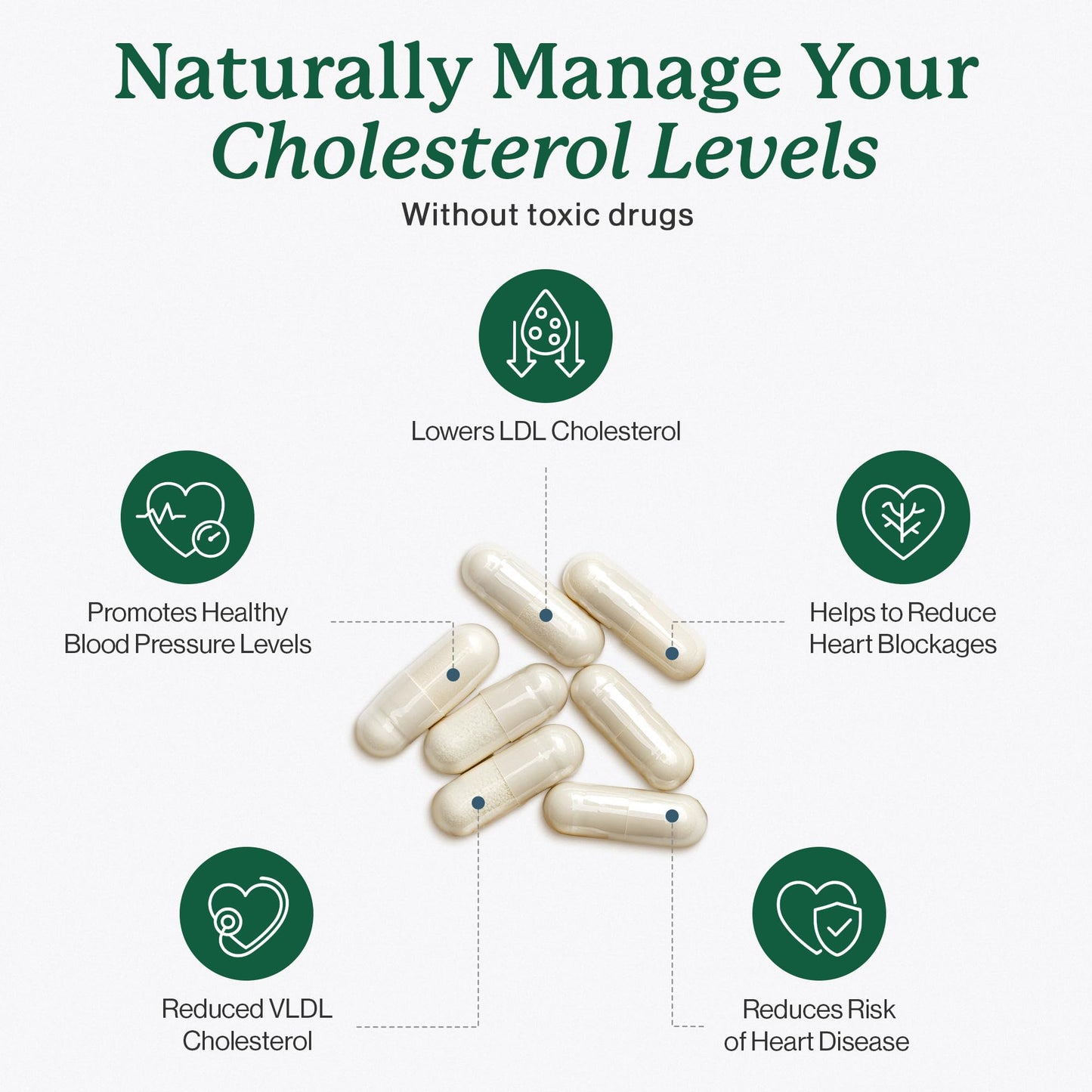 Dr. Fuhrman LDL Biotect Cholesterol Lowering Supplements Capsules 240