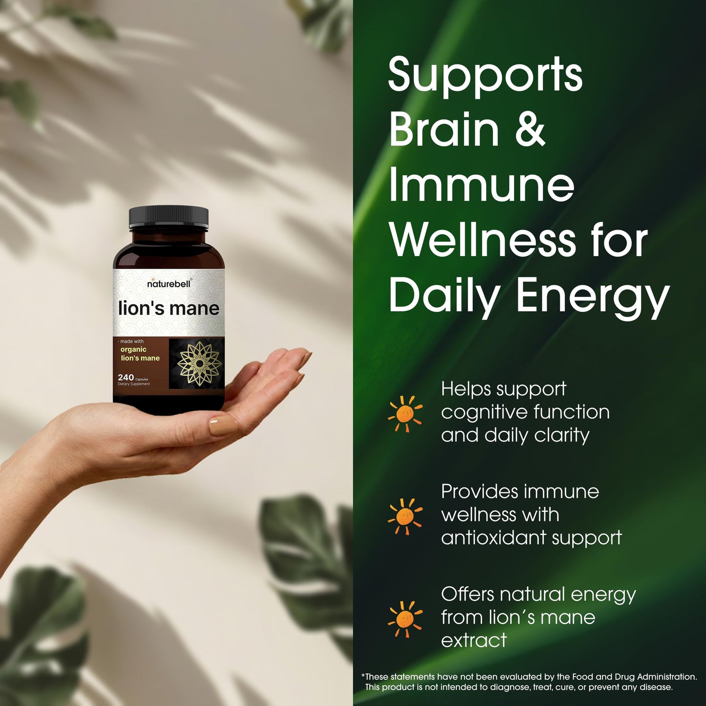 NatureBell Lion’s Mane 240 Capsules