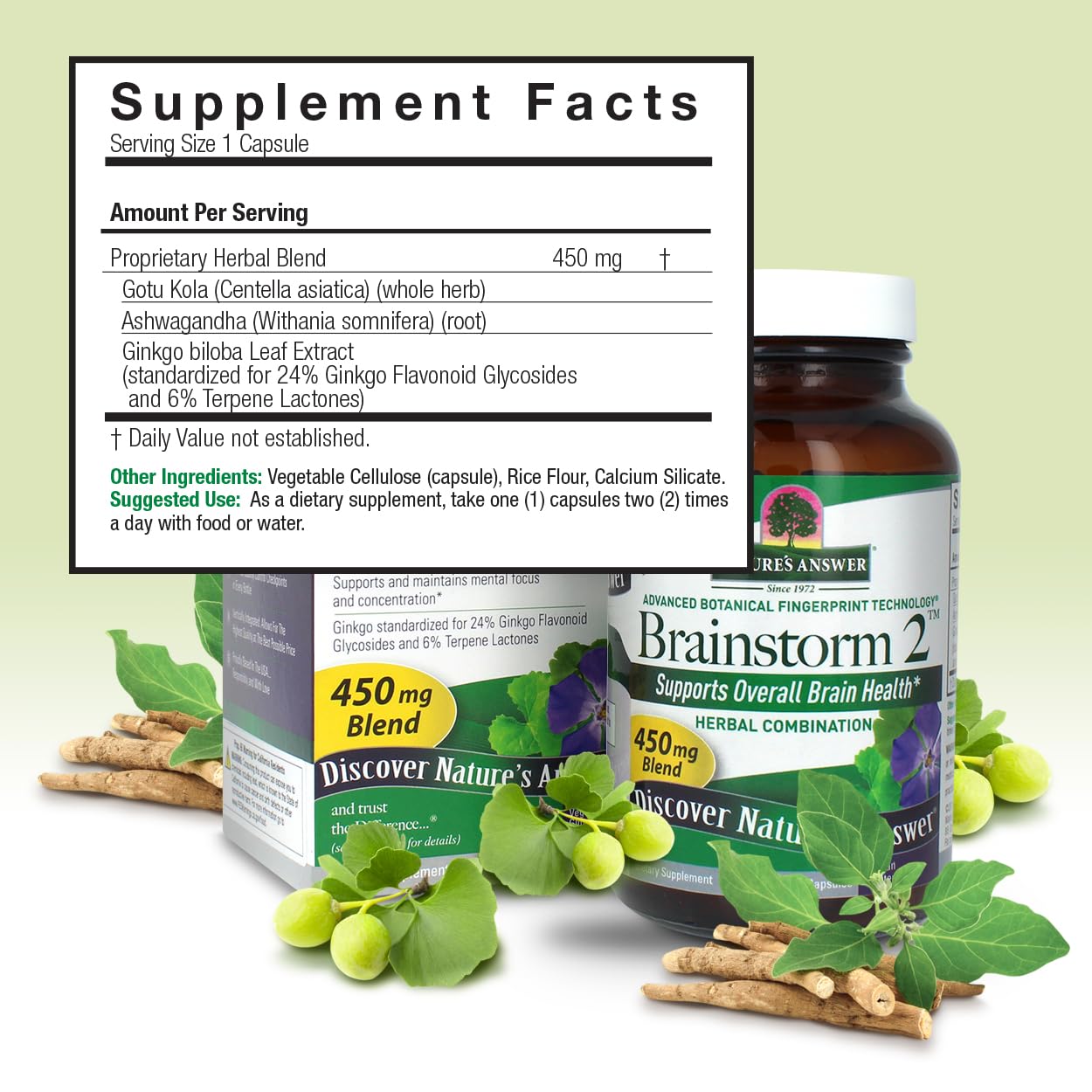 Nature's Answer Brainstorm 2 Vegetarian Capsules, 90 Capsules