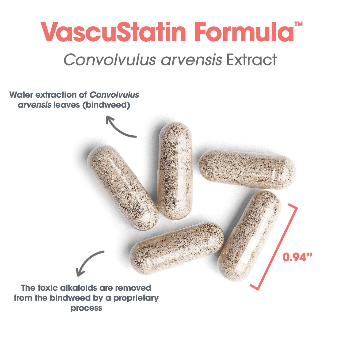 Allergy Research Group ARG VascuStatin Formula Capsule 120 Capsules