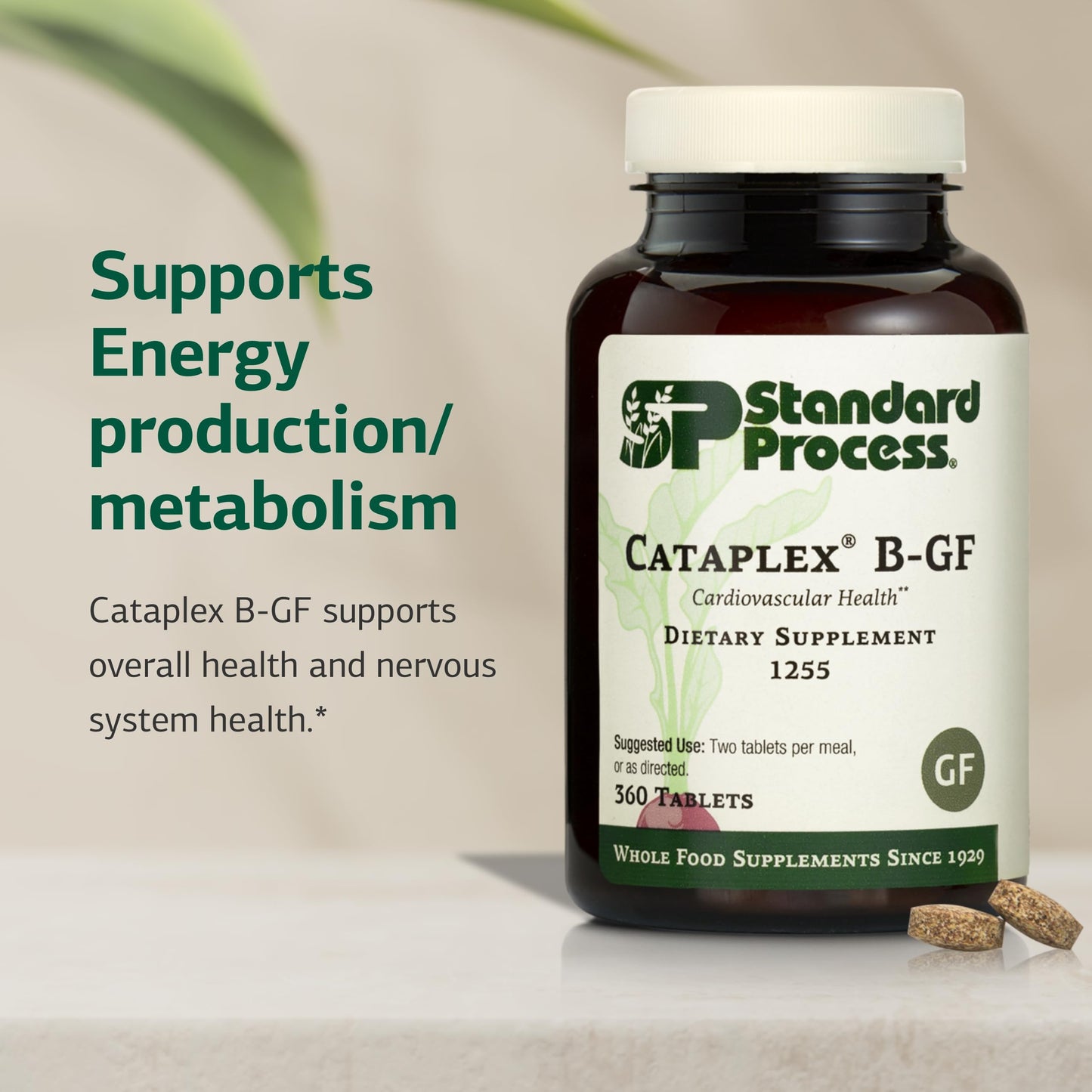 Standard Process Inc. Cataplex B-GF Tablet 360 Tablets