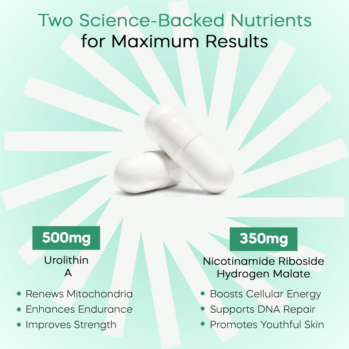 Good Energy Products Urolithin A + NAD+ Supplement Capsule 60 Count