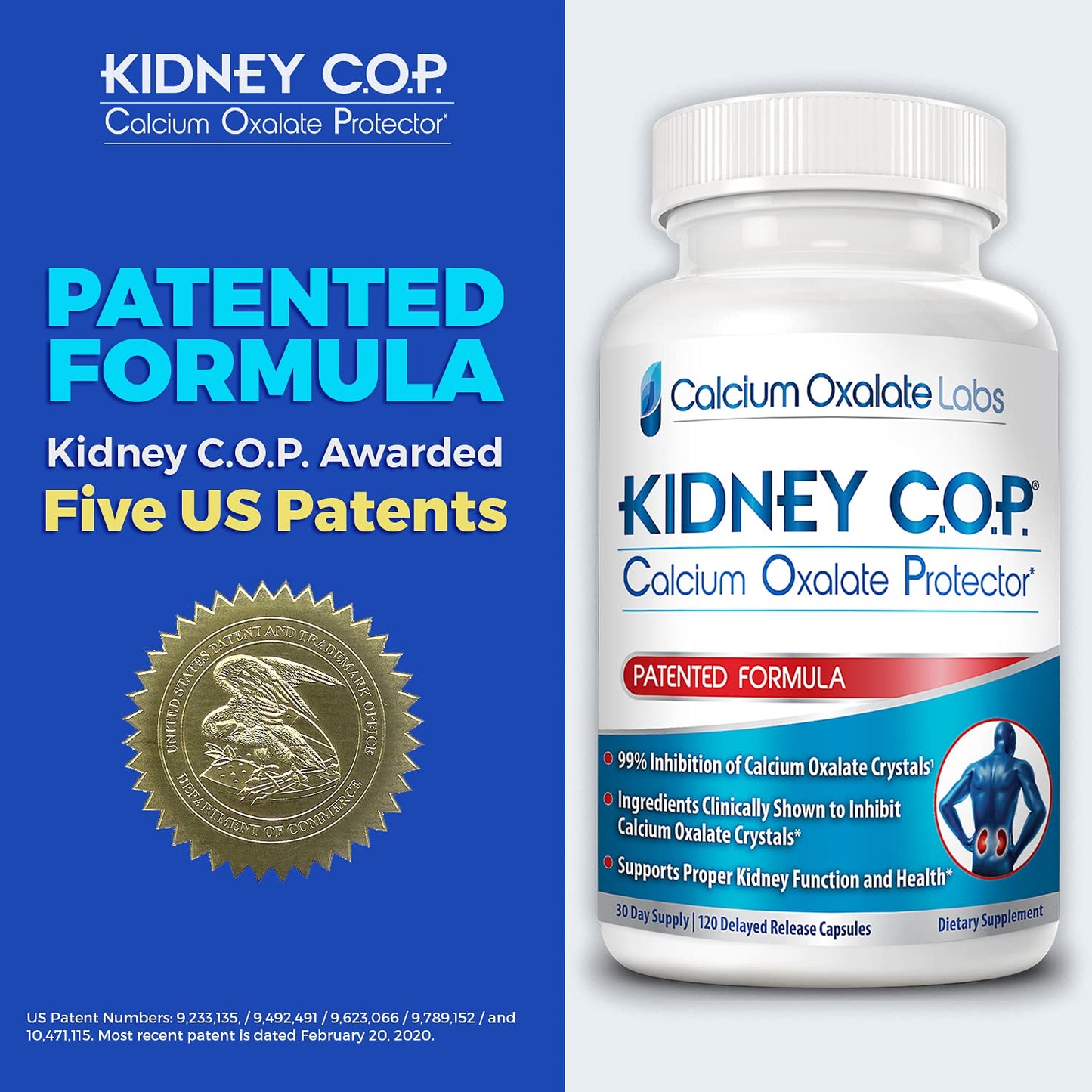 KIDNEY C.O.P. Calcium Oxalate Protector 360 Capsules