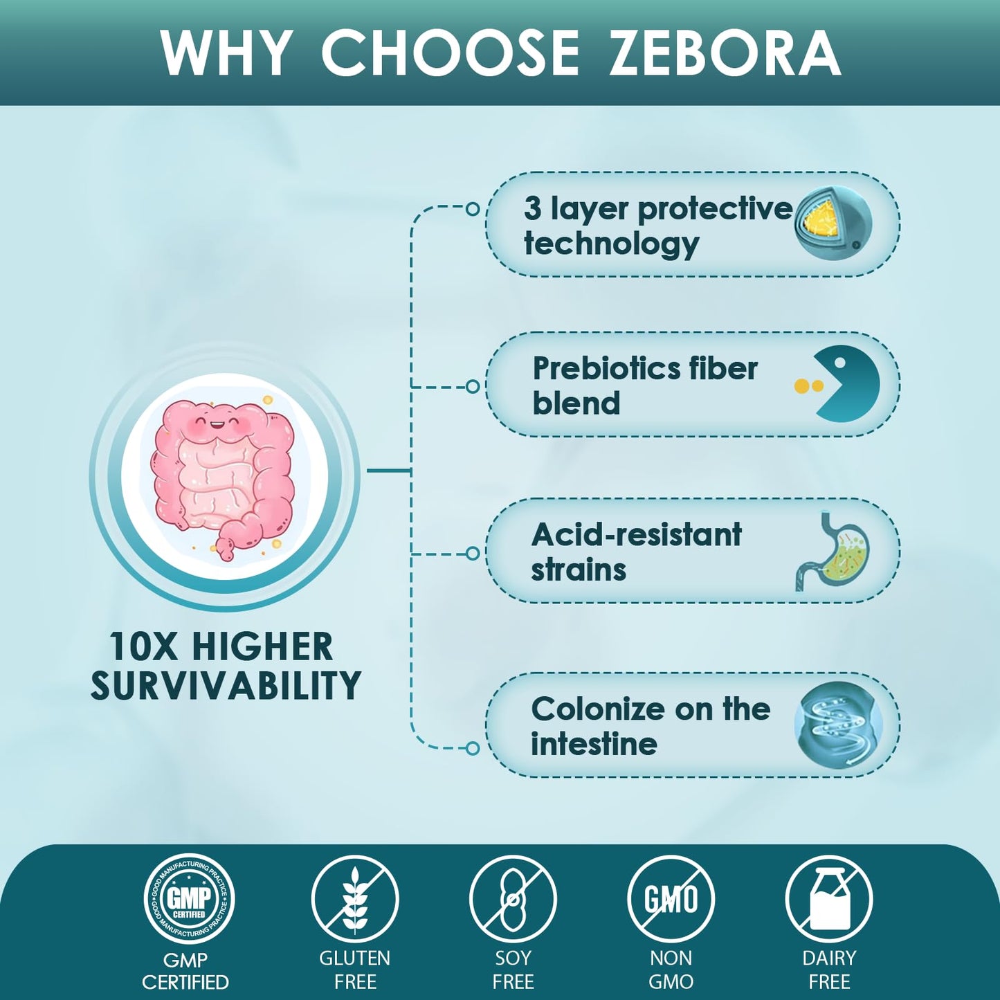 ZEBORA Probiotics for Men Digestive Health Tablet, 90 Tablets