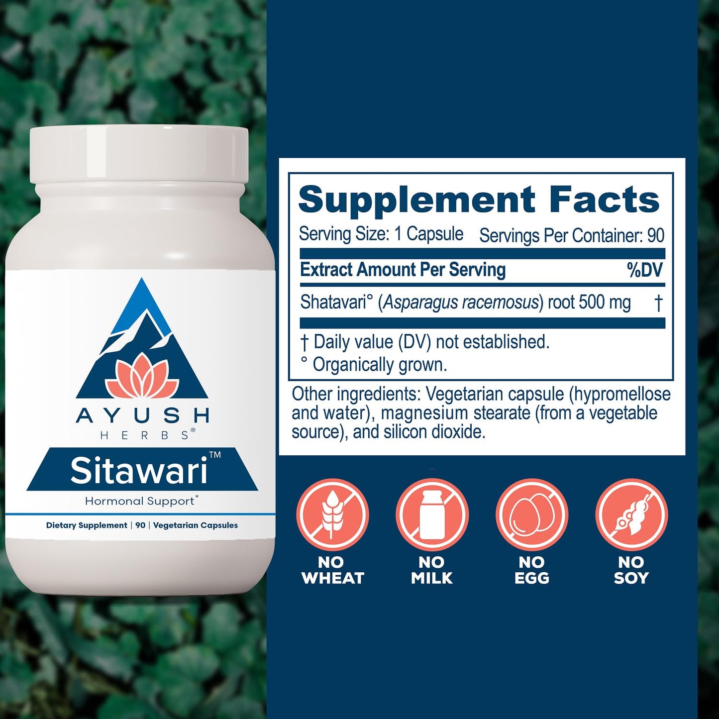 Ayush Herbs Shatavari Capsules for Women, 90 Count