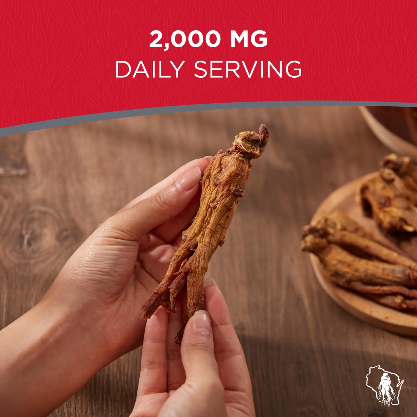 Dairyland Management LLC Korean Red Panax Ginseng Capsules 75 Count