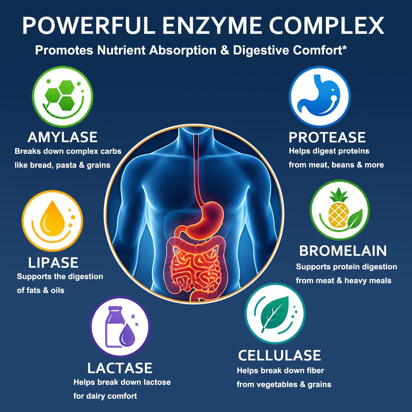ZAYMAN Digestive Enzymes for Bloating & Gas Relief After Meals, 60 Capsules