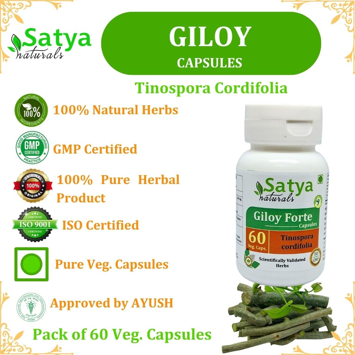 Satya Naturals Giloy Forte 500 mg Capsules, 240 Count
