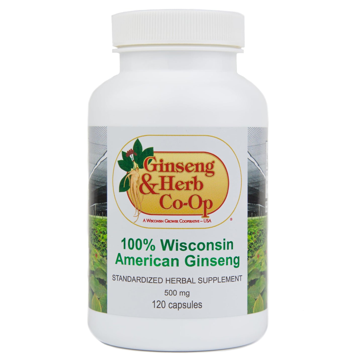 GINSENG & HERB CO-OP A WISCONSIN GROWER COOPERATIVE - USA Wisconsin American Ginseng Capsules, 120 Count