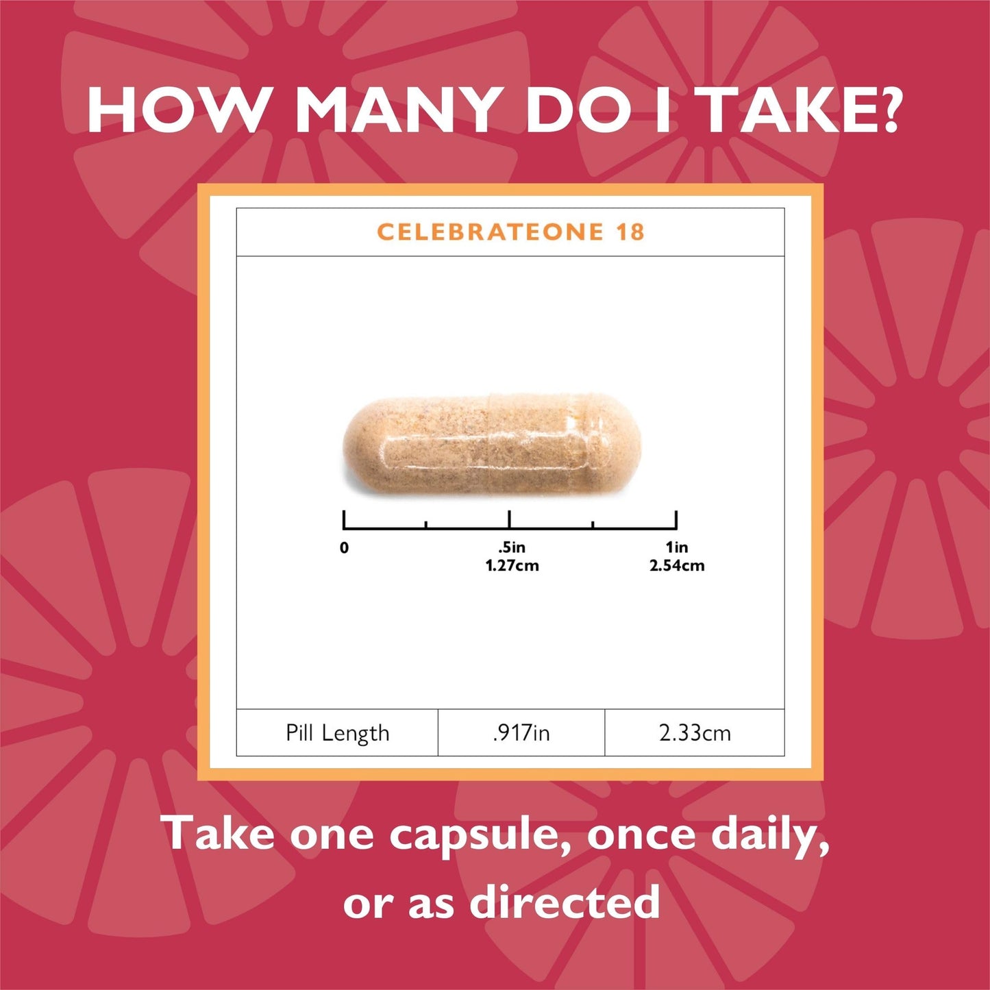 Celebrate Bariatric Supplements CelebrateONE 18, 18mg Iron Once Daily Bariatric Multivitamin, Essential Vitamins & Minerals - Gastric Bypass & Sleeve Gastrectomy, 30 Capsules