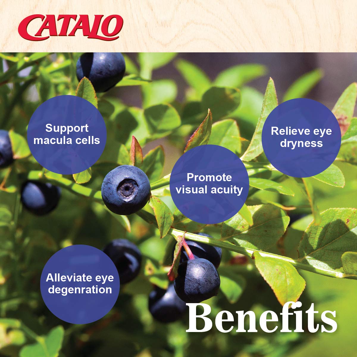 CATALO Bilberry Eyebright Extract Gold Eye Vitamins with Bilberry Lutein and Zeaxanthin, 60 Capsules