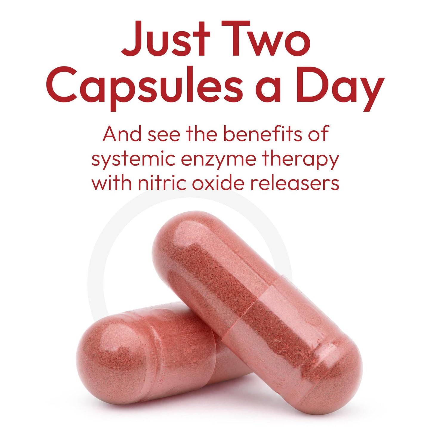 SunNutrition Vascular Defense Nitric Oxide Support Capsules, 60 Count