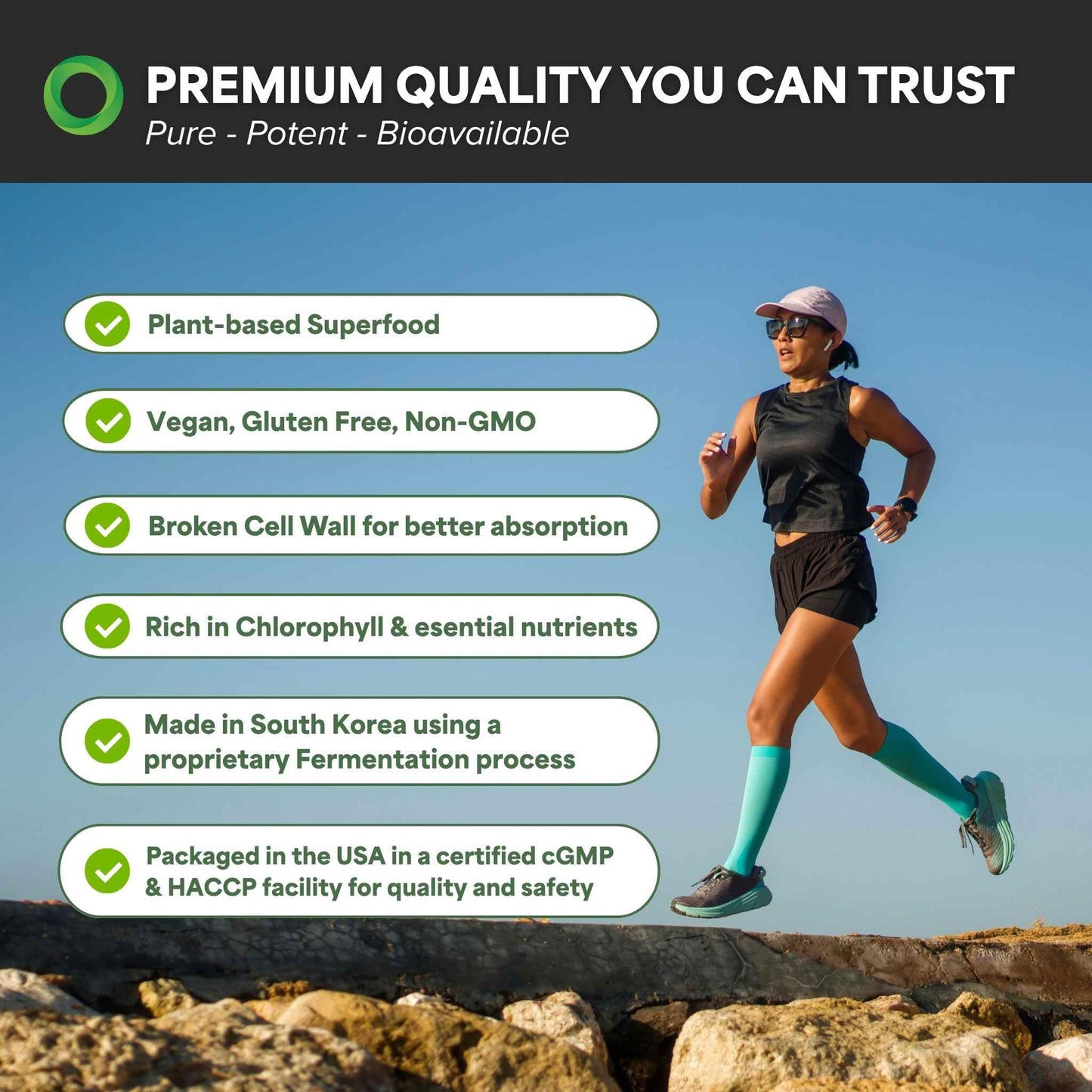 The Chlorella Company Fermented Chlorella Tablets, 1350 Tablets