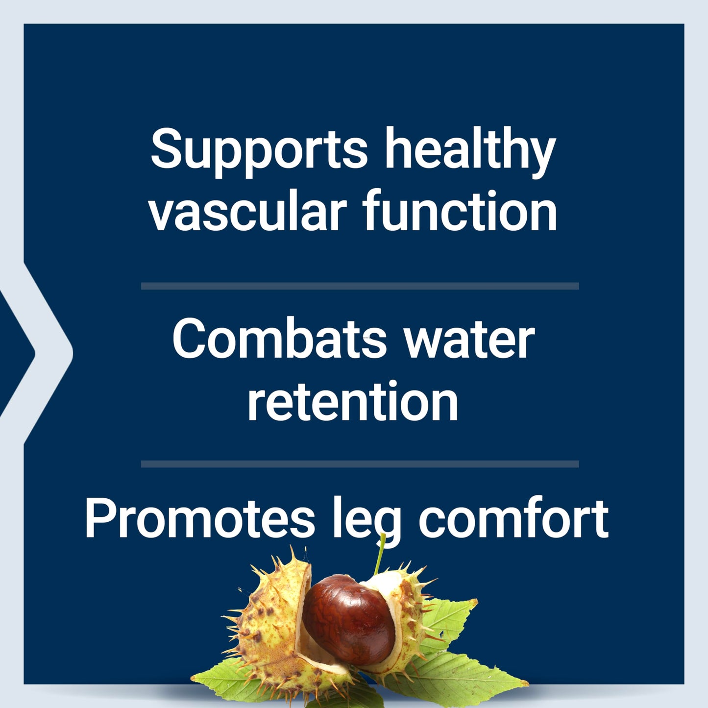 Life Extension Venotone Standardized Horse Chestnut Promotes Healthy Fluid Balance, Gluten-Free, Non-GMO, 60 Capsules