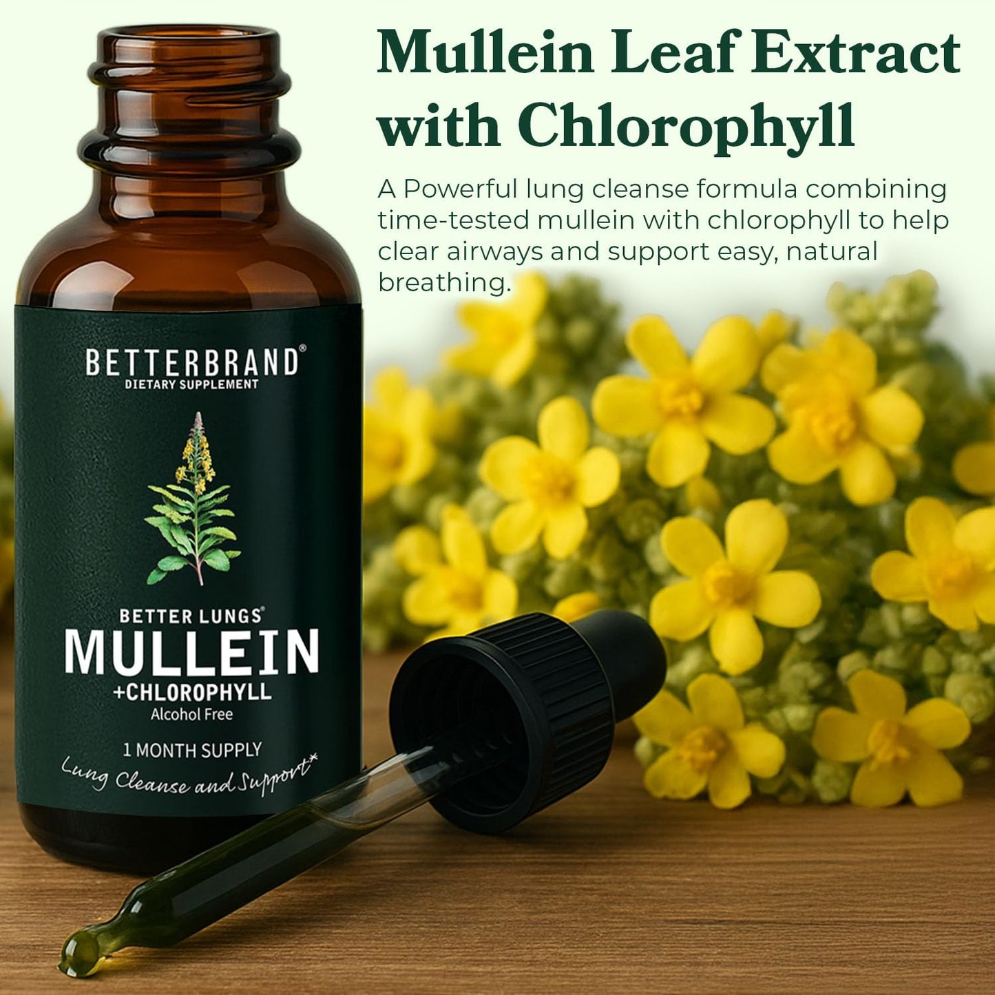 Betterbrand BetterLungs Mullein Leaf Extract and Gummies Bundle - Lung Health Support, Liquid and Gummies, 2-Pack