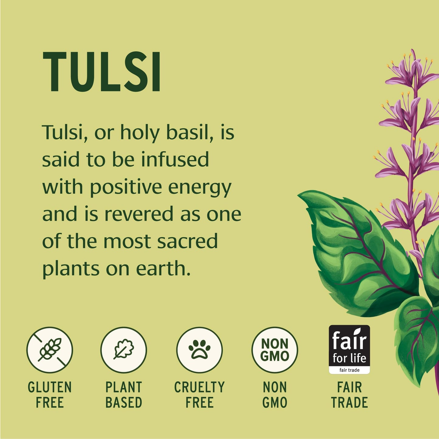 Banyan Botanicals Tulsi (Holy Basil) Tablets 90