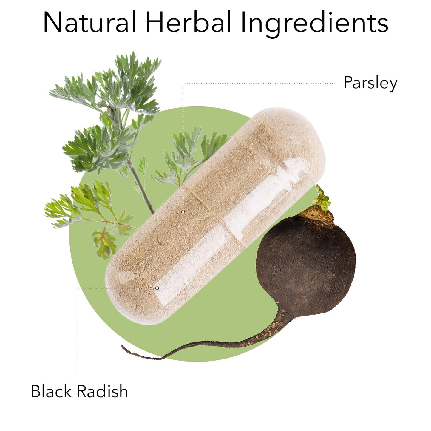 Kroeger Herb Products Black Radish and Parsley Supplement Capsule 100 Count