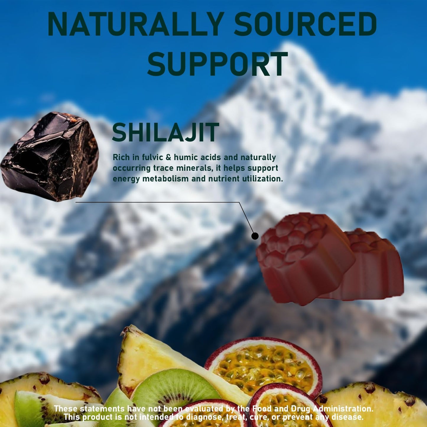 Fruitoday Himalayan Shilajit Gummies, 1 Count