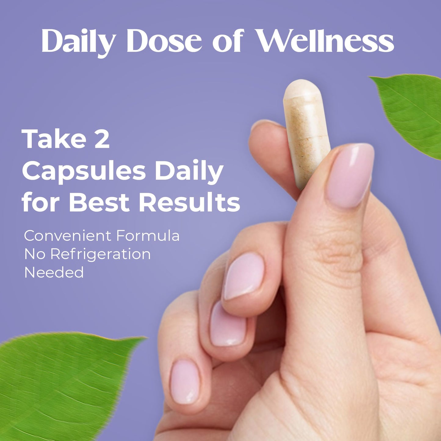 Nudora Daily 3 in 1 Probiotics & Prebiotics with Ashwagandha & Other Herbal Ingredients Probiotics for Women and Men - Capsule, 60 Capsules