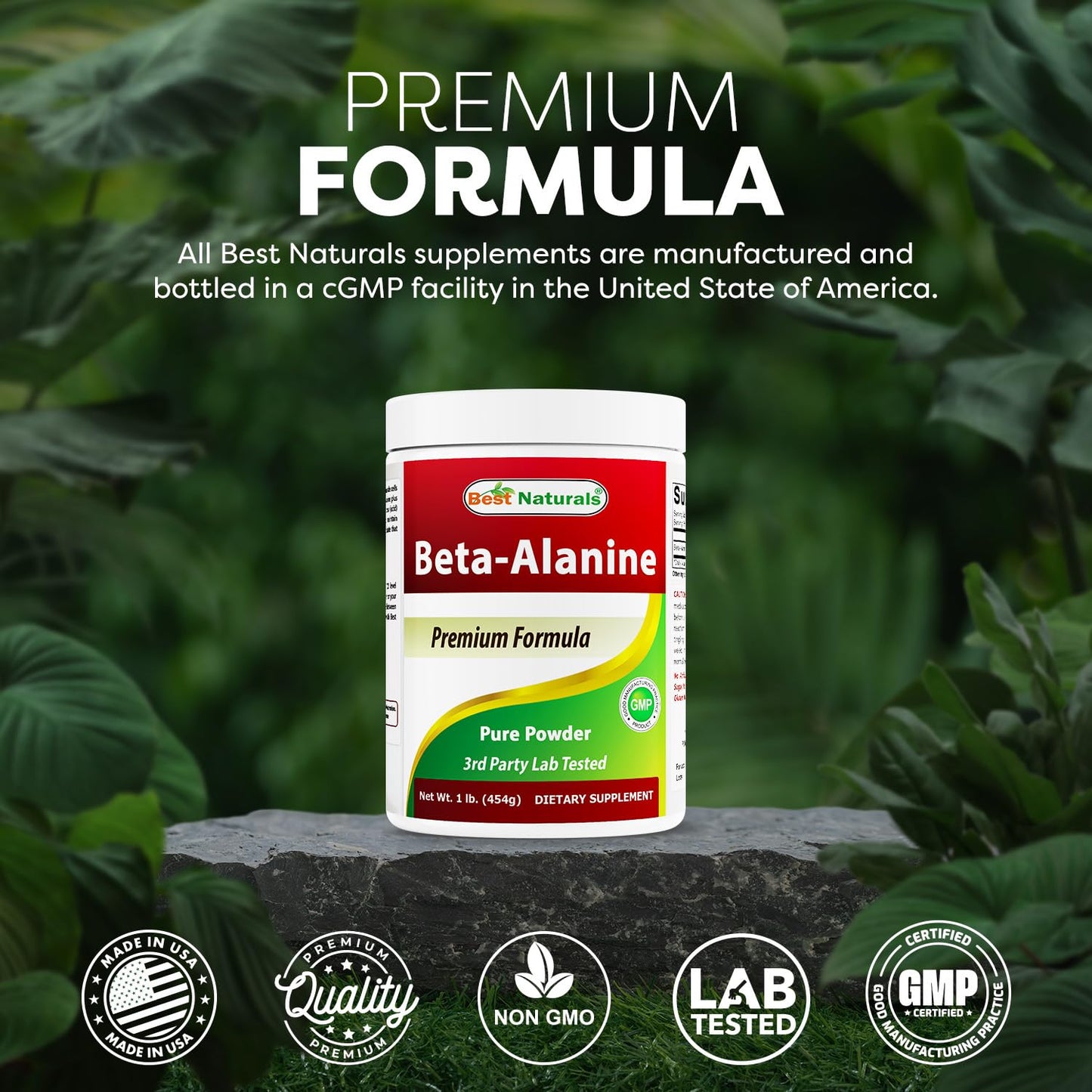 Best Naturals Beta Alanine Pure Powder 48