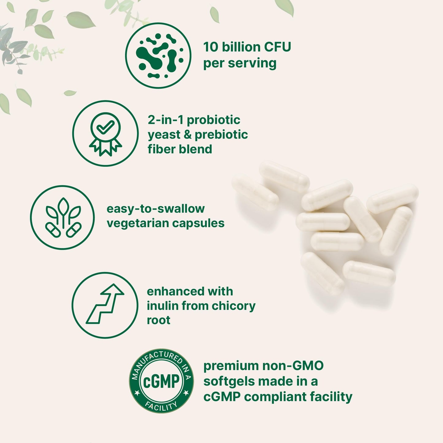 Micro Ingredients Saccharomyces Boulardii Probiotics 10 Billion CFU with Prebiotics, 240 Capsules