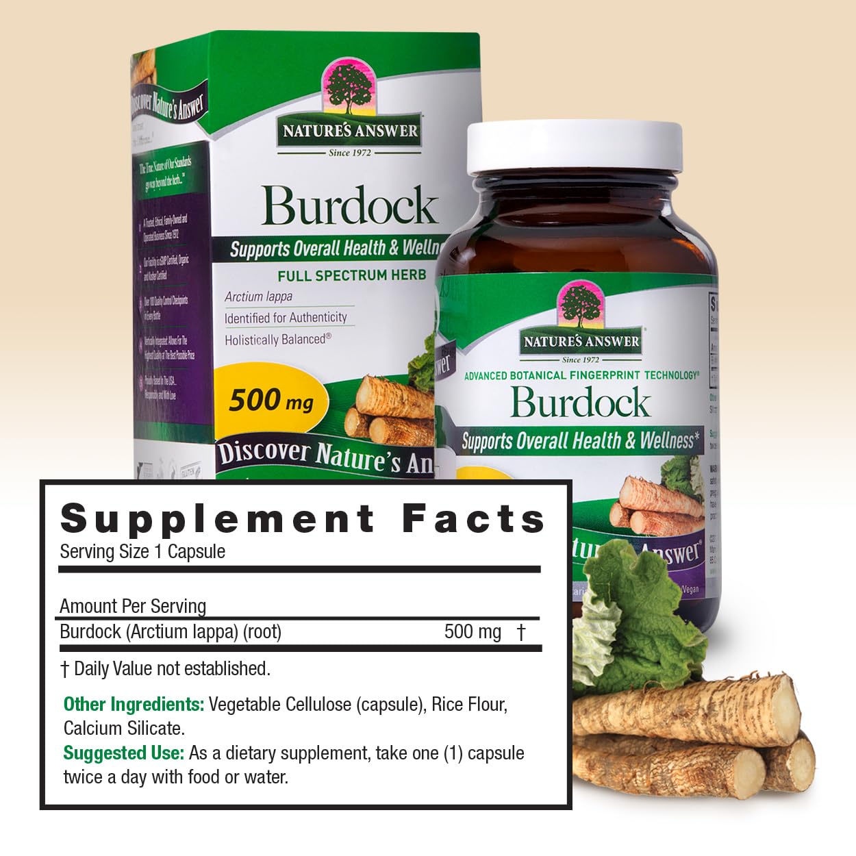 Nature's Answer Burdock Root Capsules 90 Count