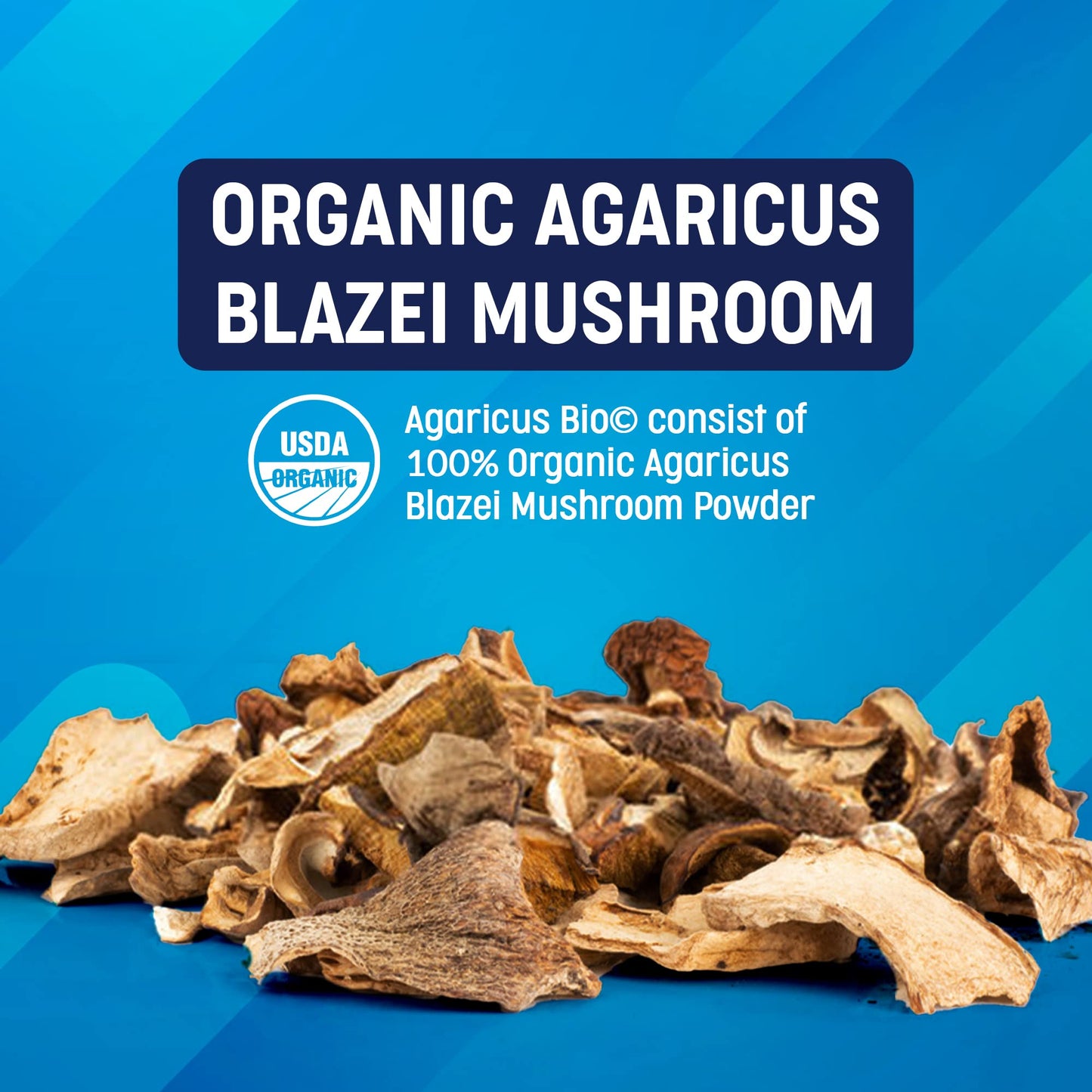 Superfood Science Agaricus Bio 600 mg Capsule 60 Count