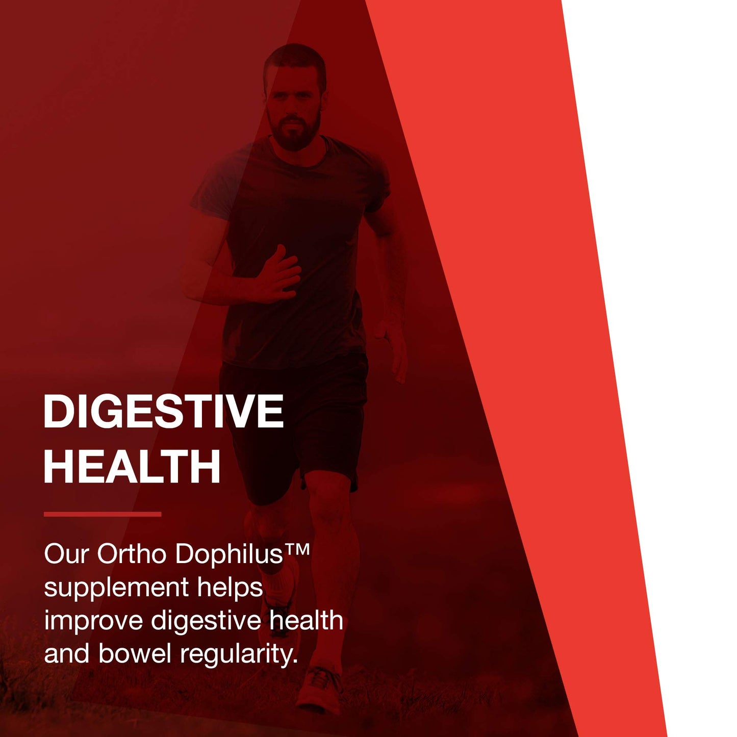 PROTOCOL FOR LIFE BALANCE Ortho Dophilus 8 Strains 4 Billion Capsules 60