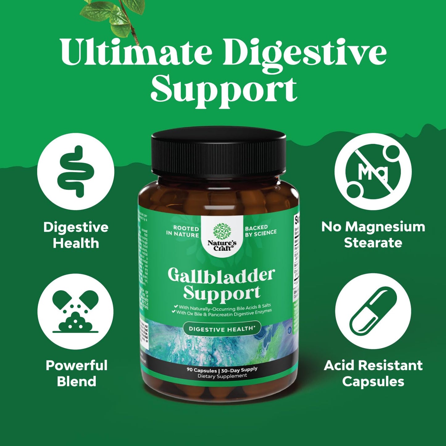 Natures Craft Gallbladder Support Digestive Enzymes with Ox Bile Capsules 90 Count
